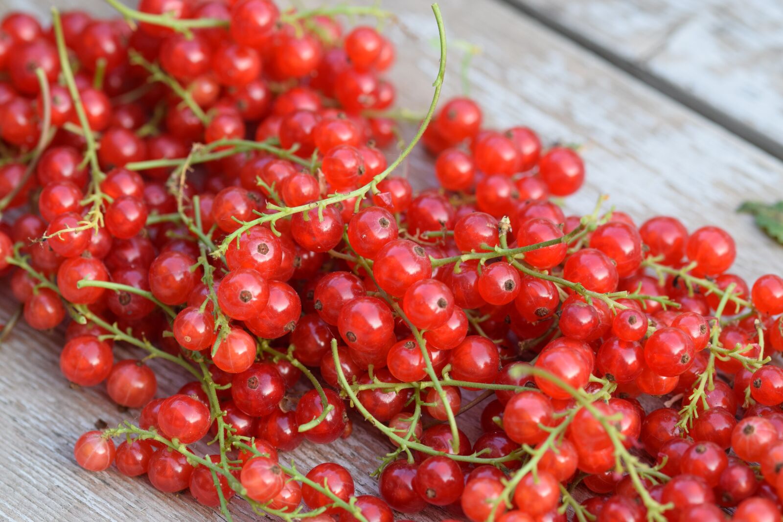 Nikon D5300 sample photo. Berries, fruit, food photography
