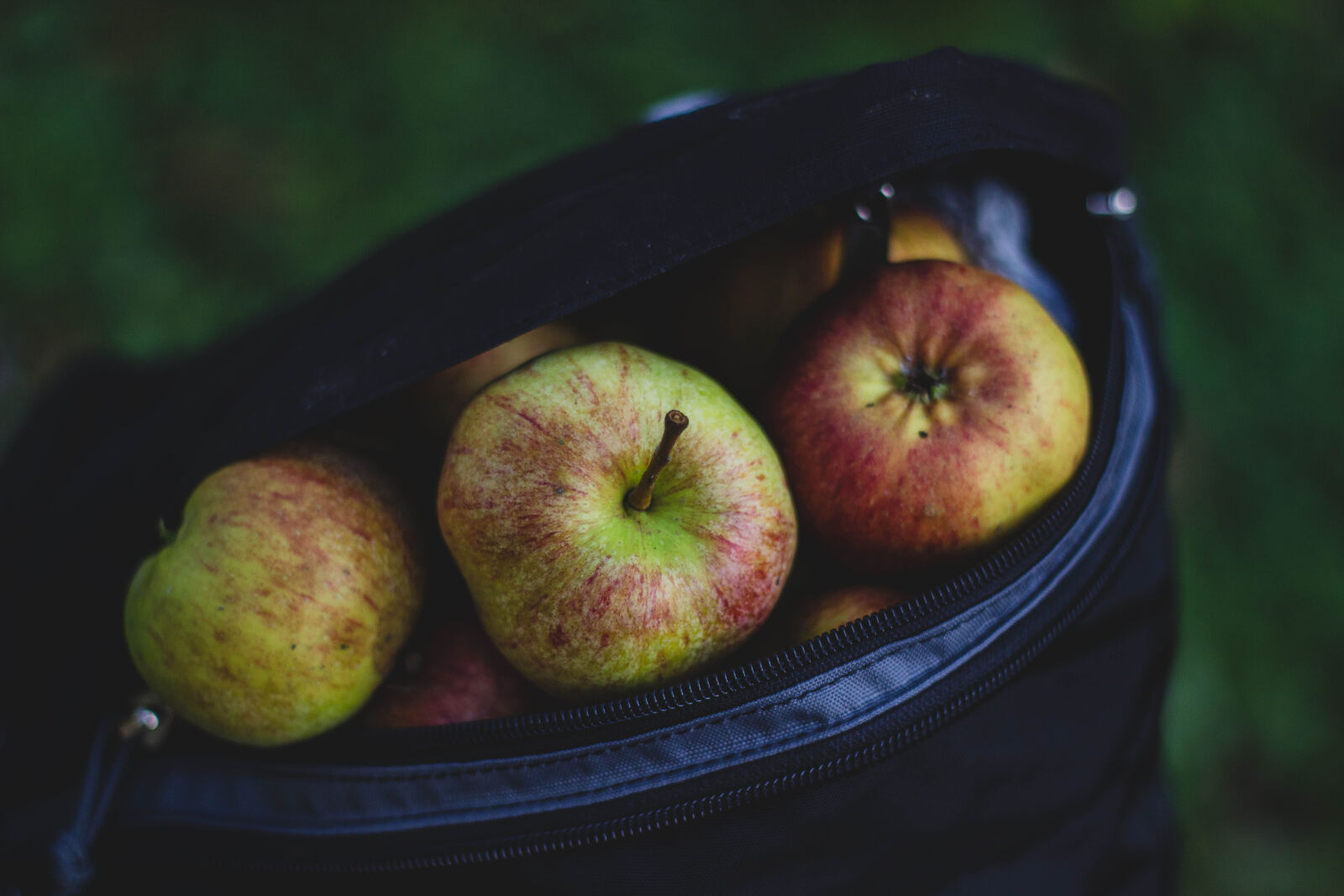 Canon EOS 600D (Rebel EOS T3i / EOS Kiss X5) + Canon EF 50mm F1.8 II sample photo. Apple, bag, delicious, food photography