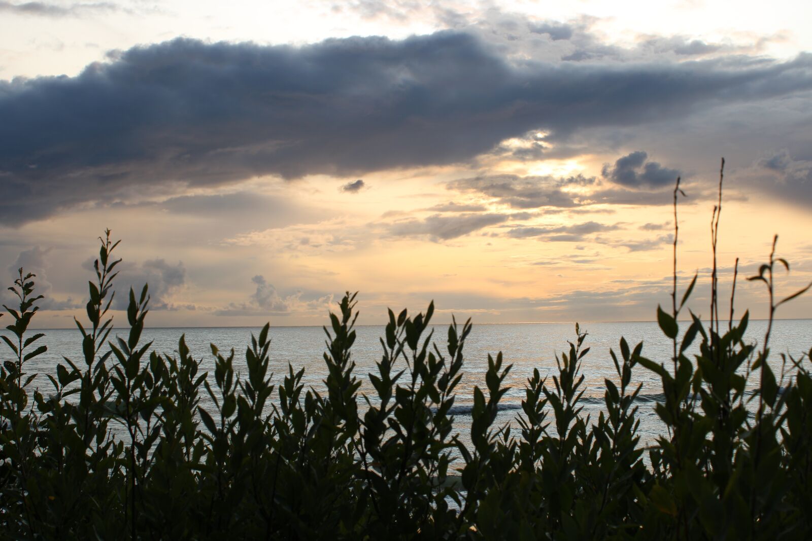 Canon EOS 2000D (EOS Rebel T7 / EOS Kiss X90 / EOS 1500D) sample photo. Sea, beach, mood photography