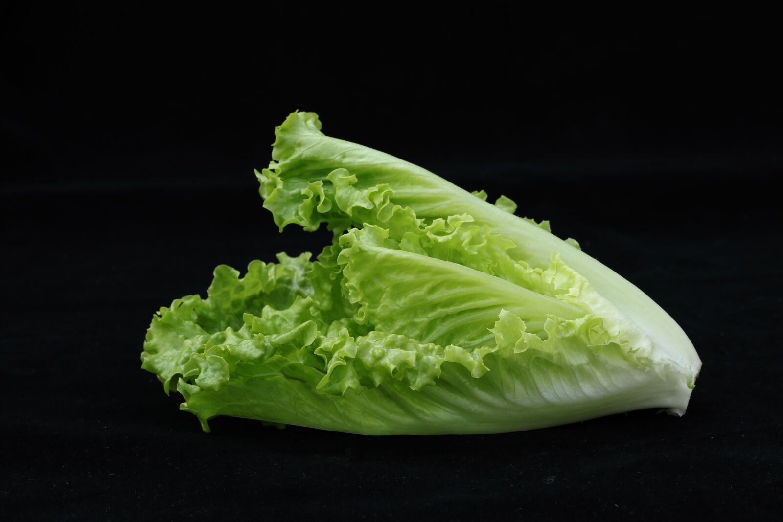 Canon EOS 77D (EOS 9000D / EOS 770D) sample photo. Vegetable, lettuce, romaine lettuce photography