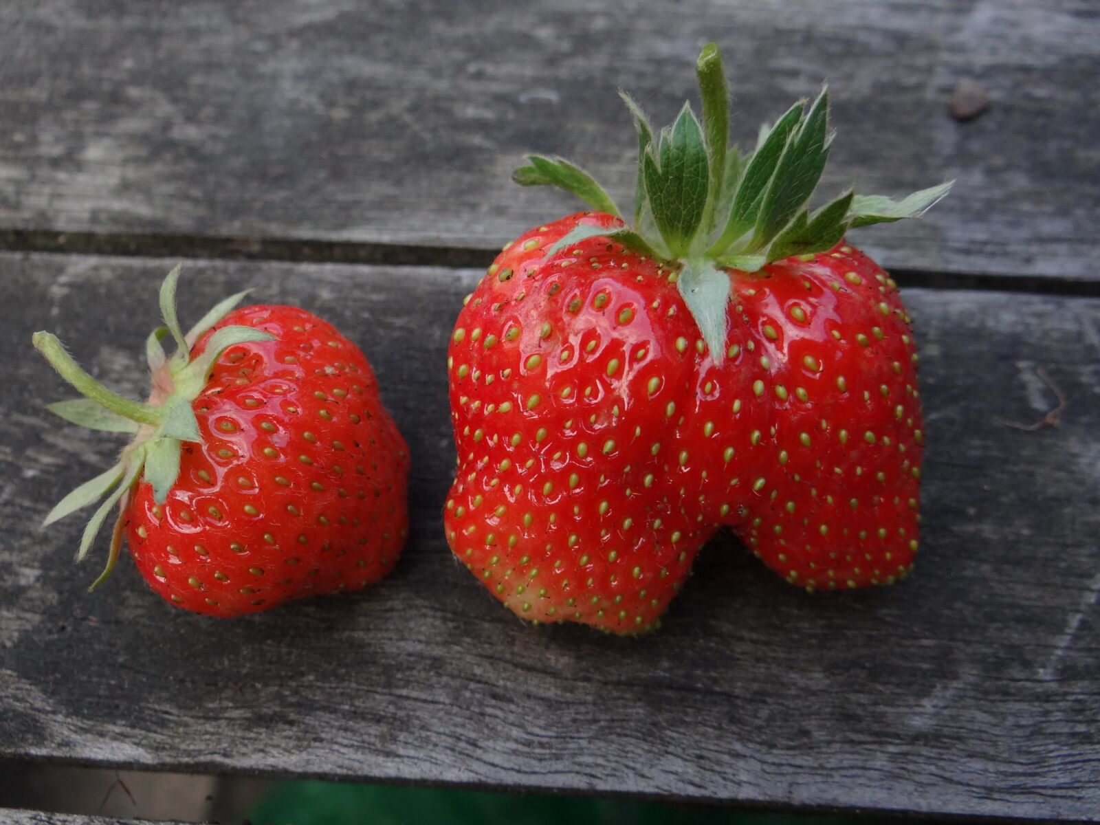 Sony Cyber-shot DSC-HX100V sample photo. Strawberry, berry, summer photography