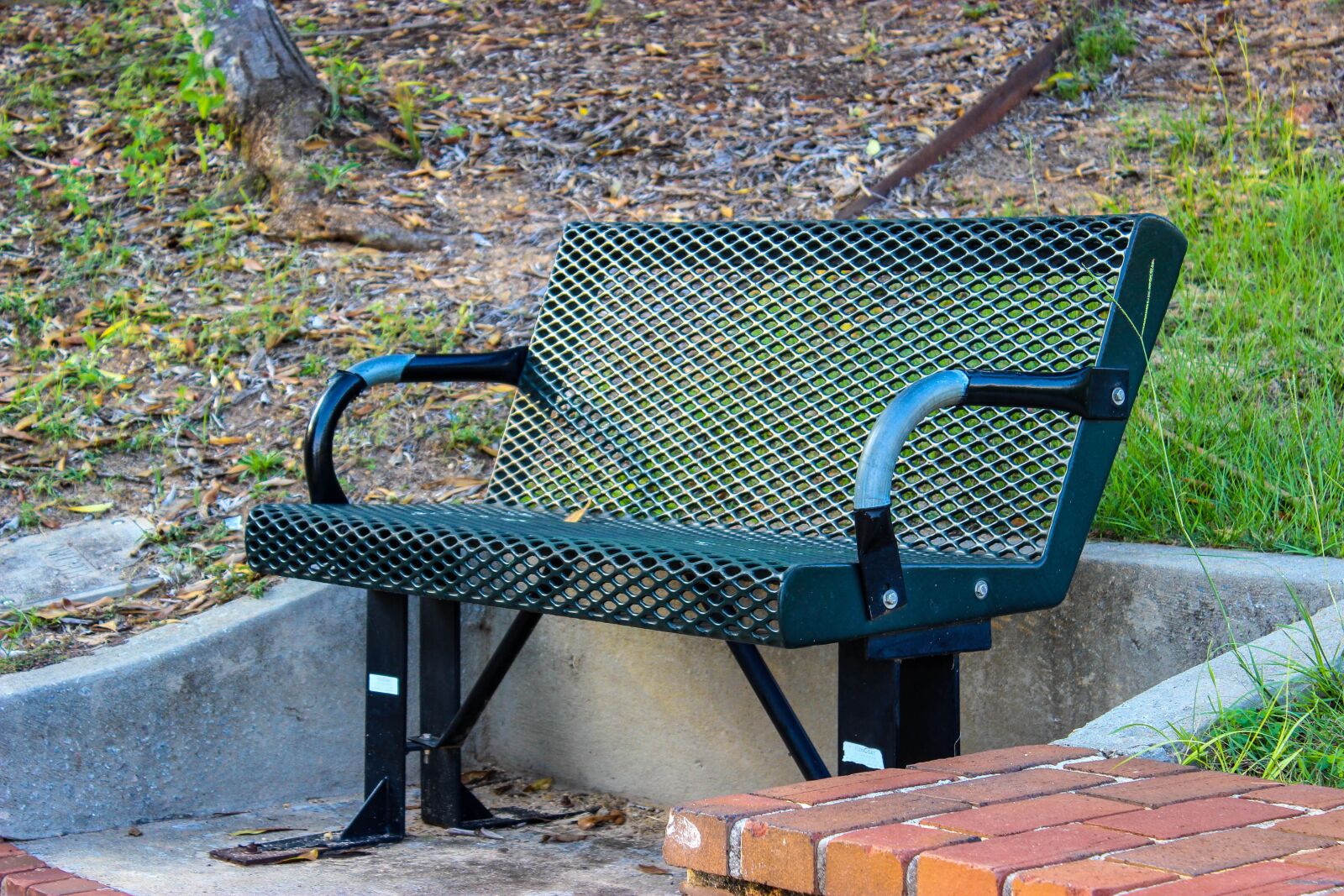 Canon EOS 600D (Rebel EOS T3i / EOS Kiss X5) sample photo. Bench, garden, sit photography