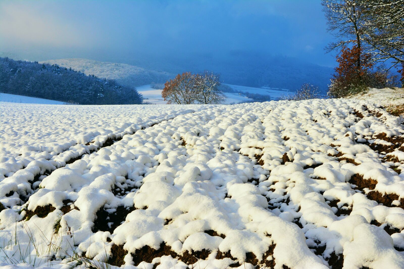Nikon D5200 sample photo. Wintry, snow, winter photography
