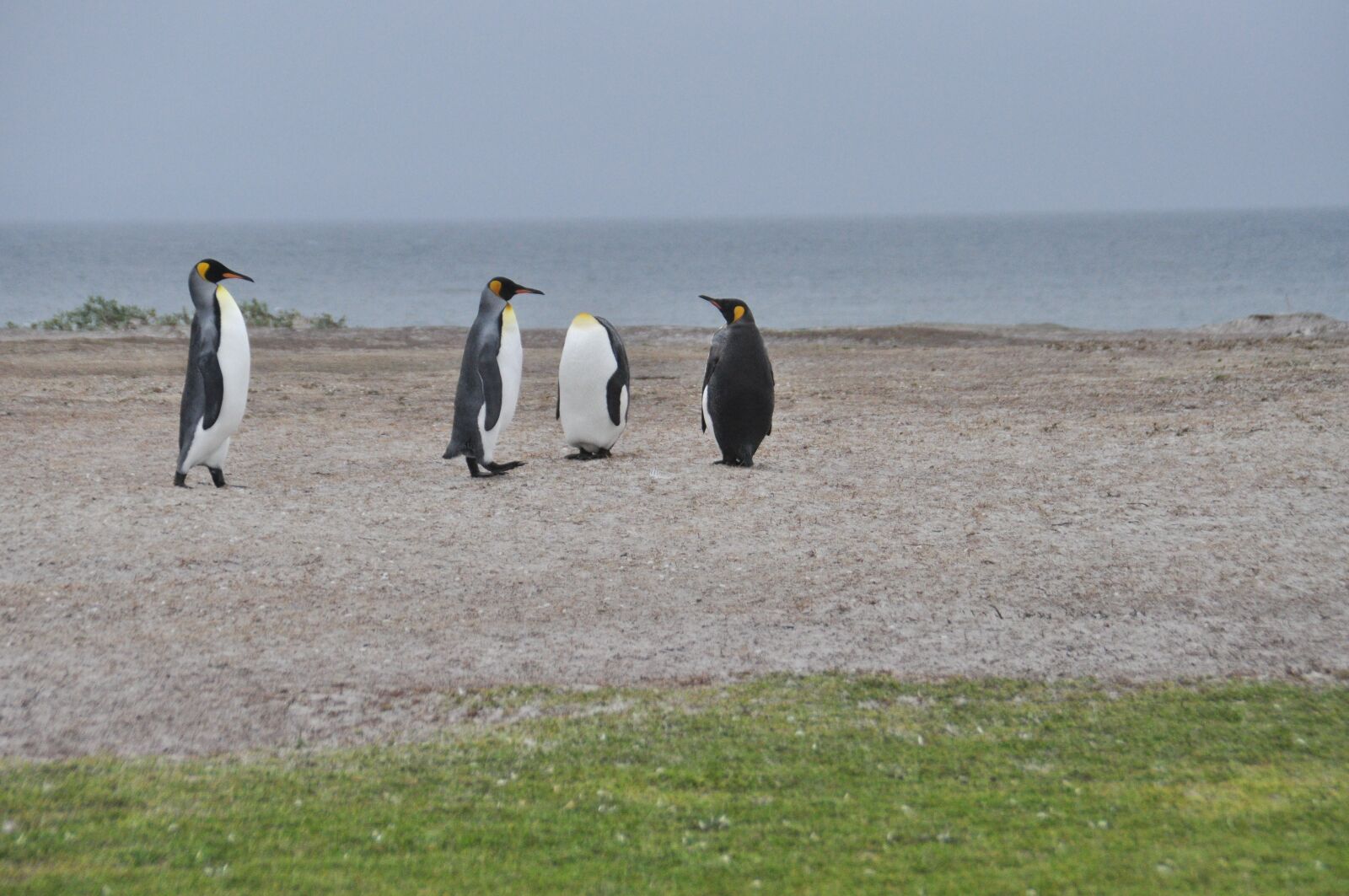 Nikon D5000 sample photo. Falkland, iceland, vacations photography