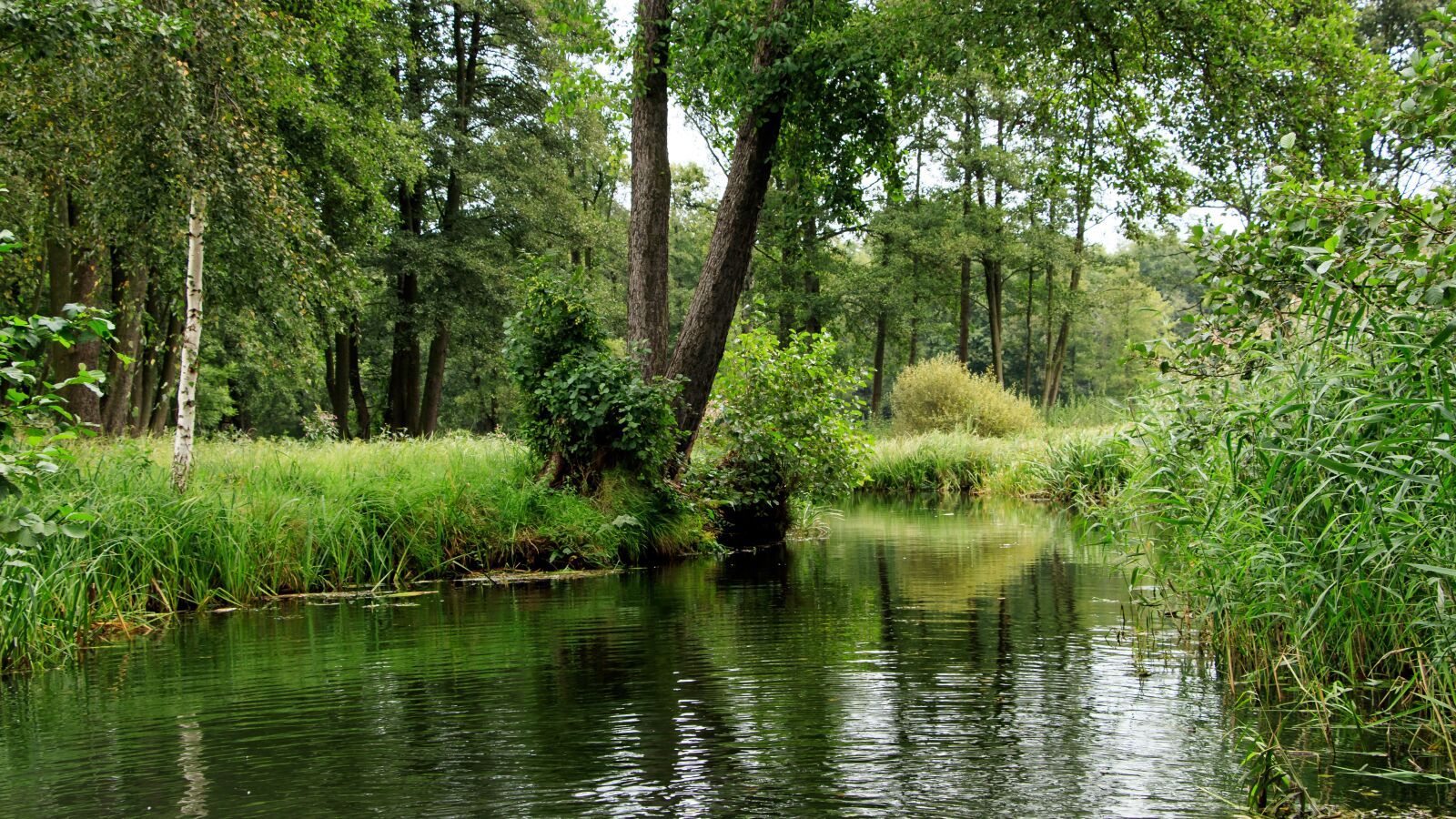 Canon EOS 80D sample photo. Spreewald, channels, depth photography