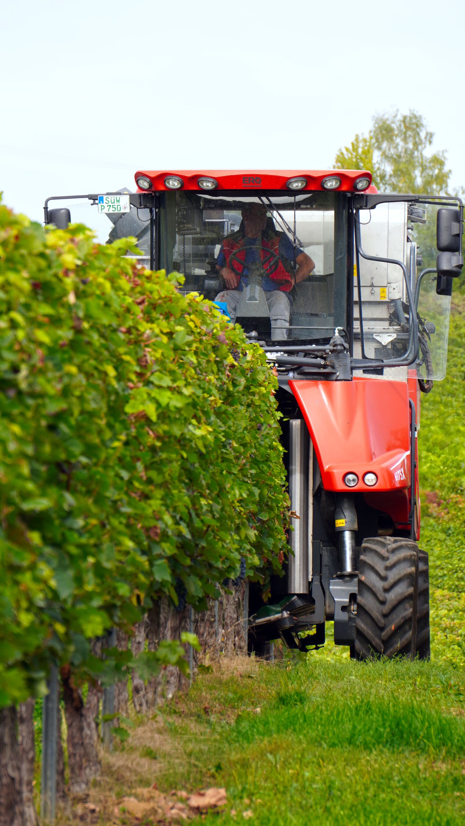 Sony E 55-210mm F4.5-6.3 OSS sample photo. Harvester, vintage, wine harvest photography