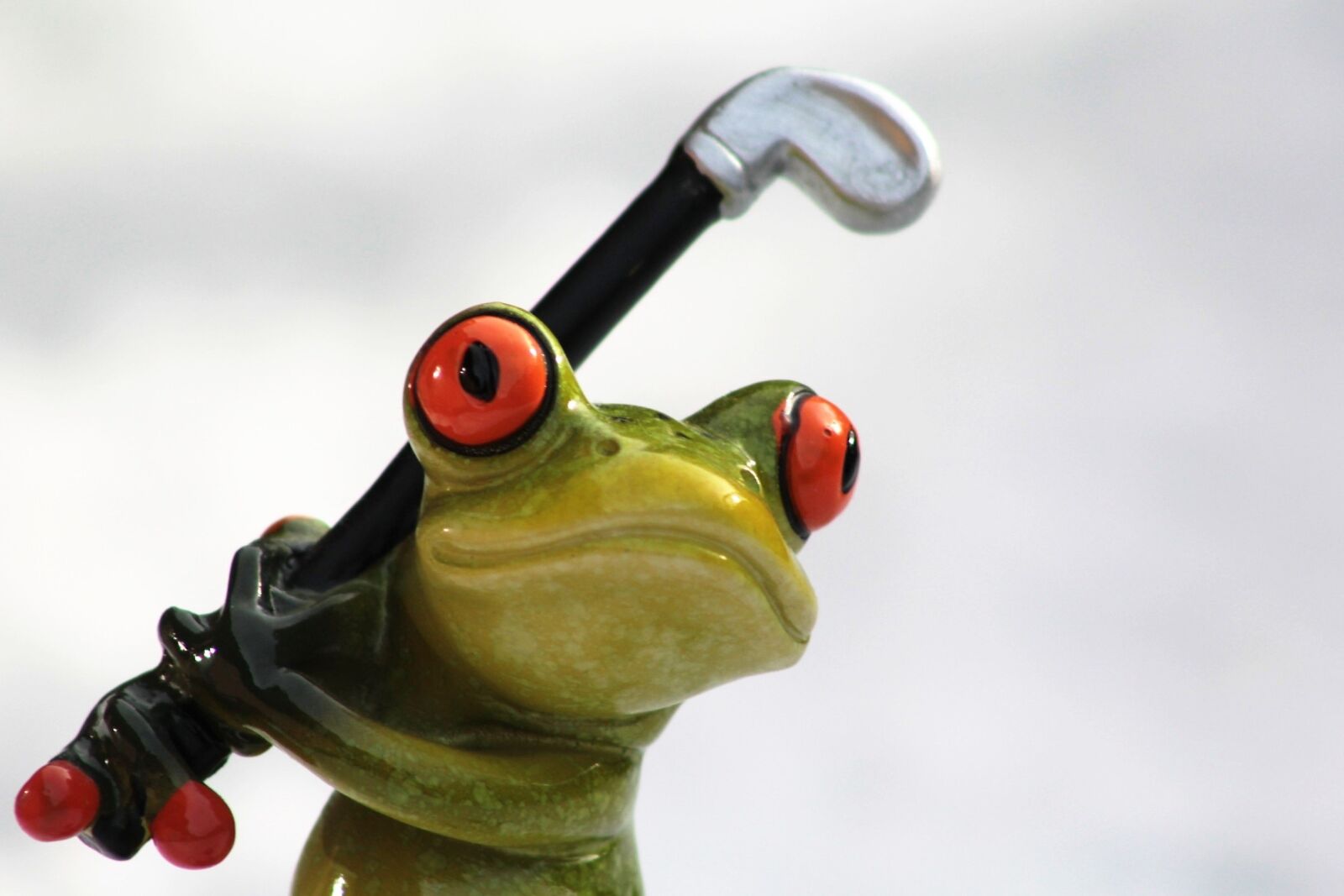 Canon EF 75-300mm f/4-5.6 sample photo. Frog, golf, golf clubs photography