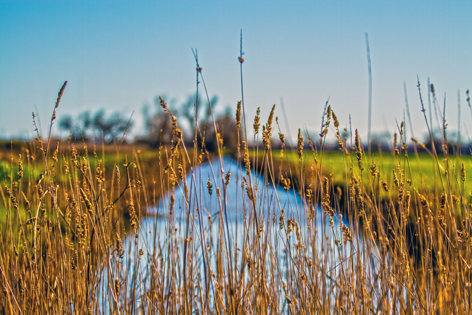 Canon EF 70-200mm F4L USM sample photo. Canal, country, farm, field photography