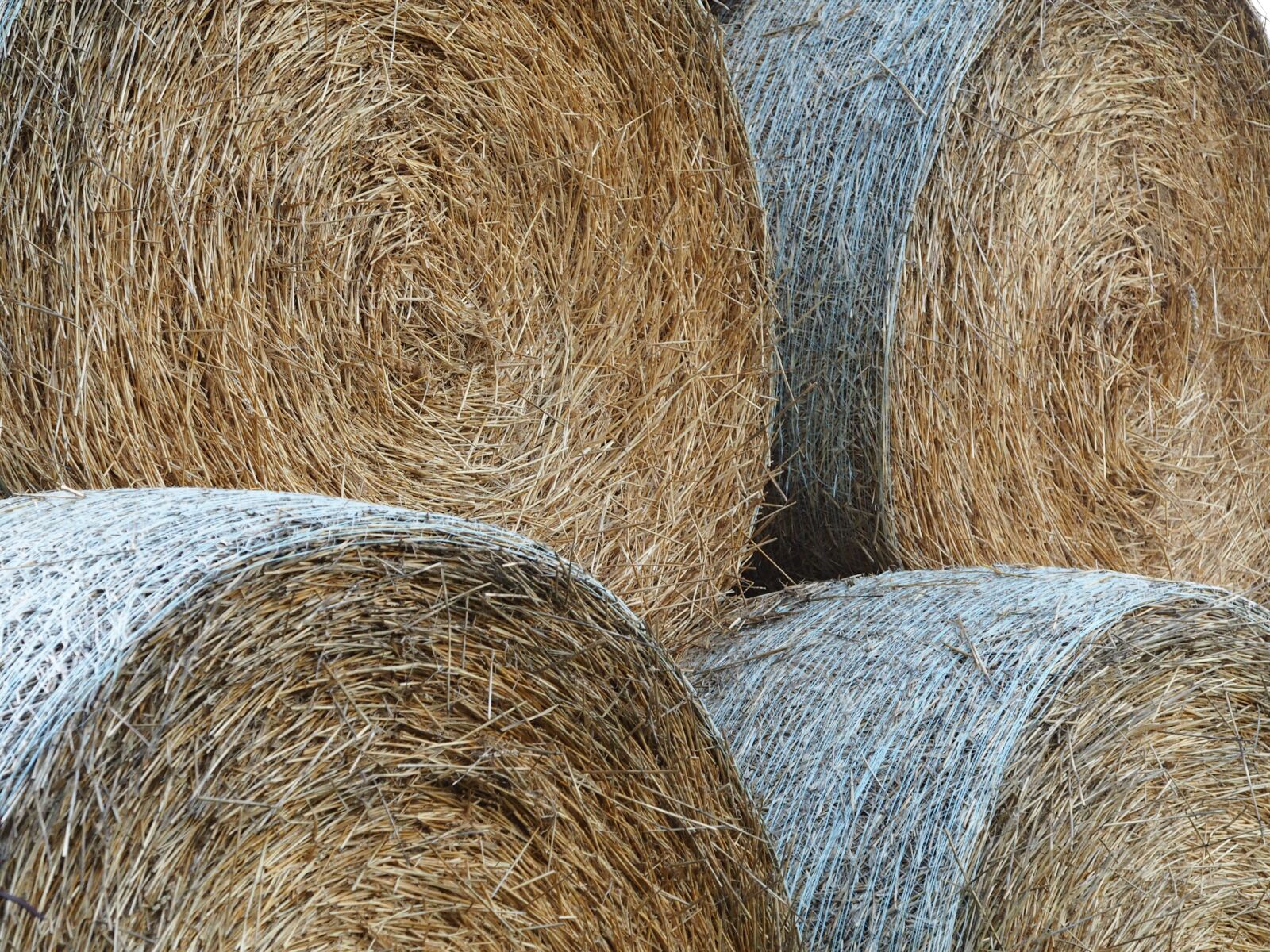 Olympus M.Zuiko Digital ED 60mm F2.8 Macro sample photo. Straw bales, straw, harvest photography