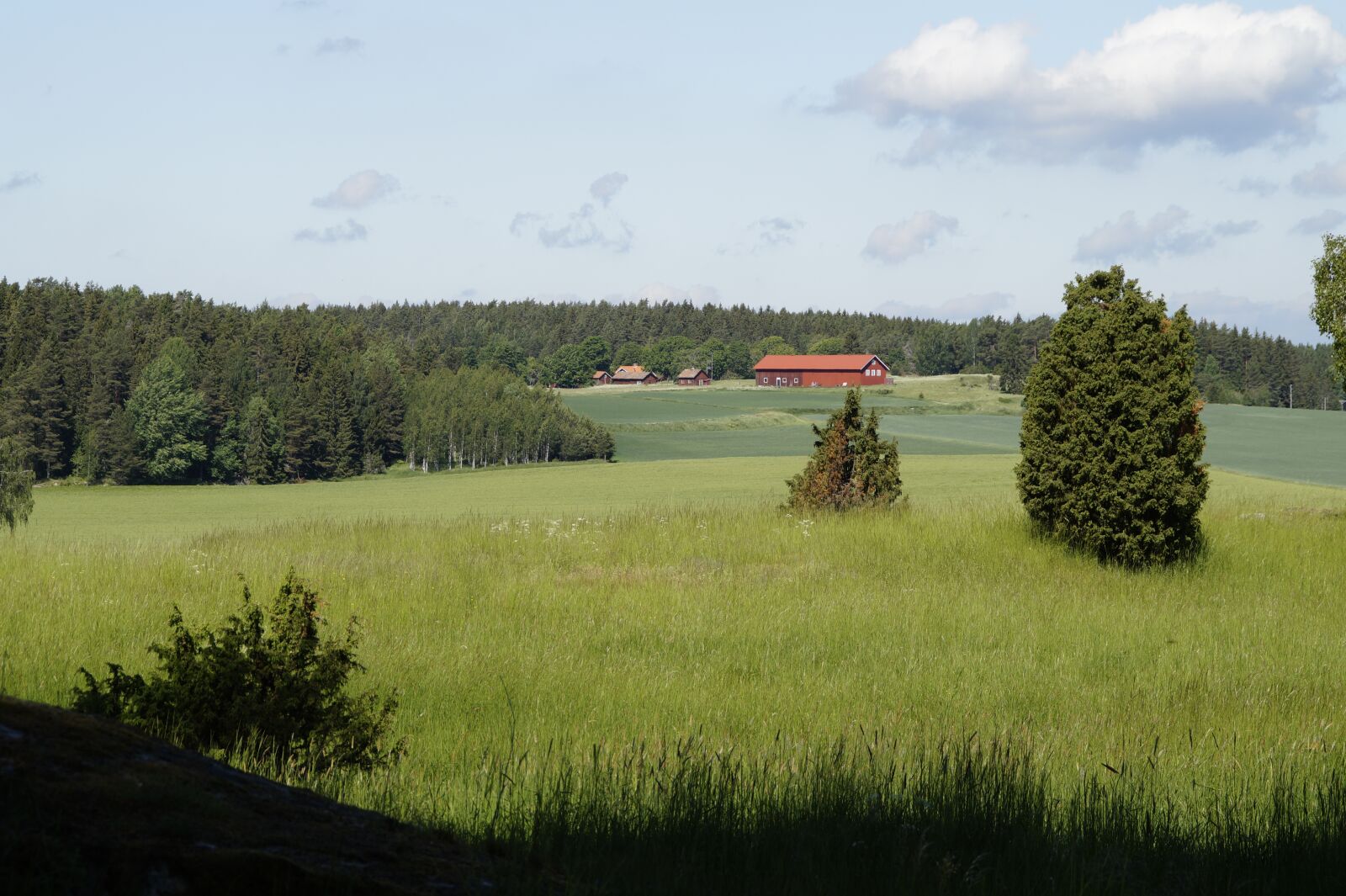 Sony SLT-A58 sample photo. Sweden, s rmland, s photography