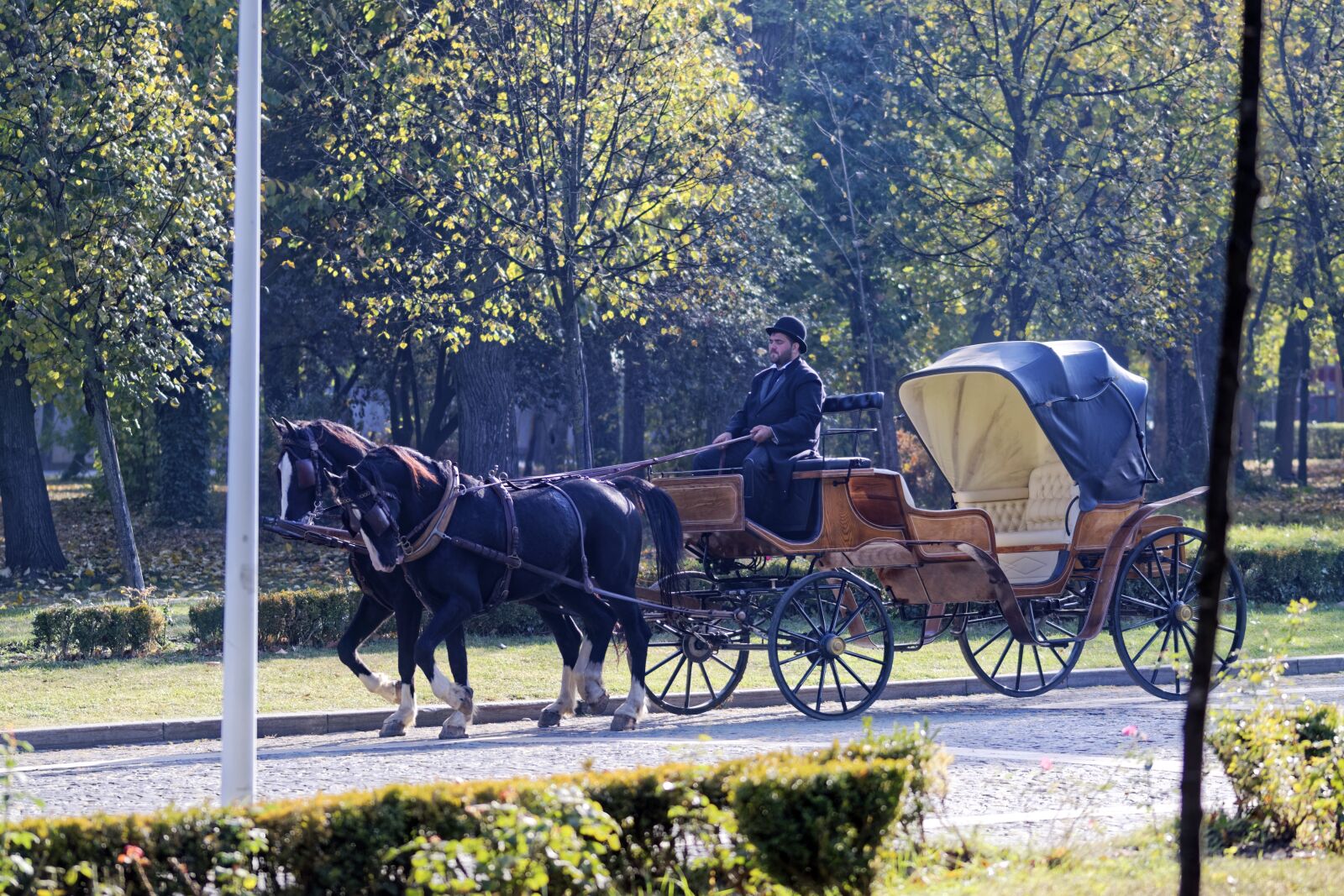 Nikon D5300 sample photo. Coach, horses, the driver photography