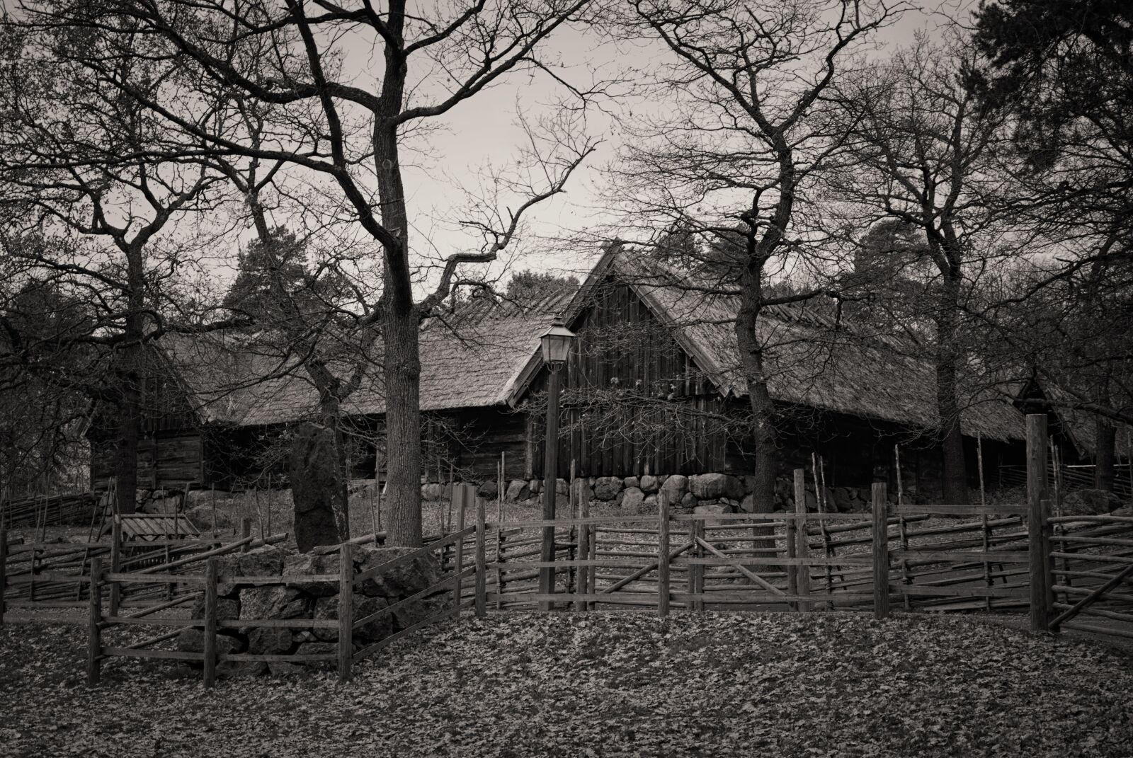 Nikon D80 sample photo. Sweden, stockholm, swedish photography