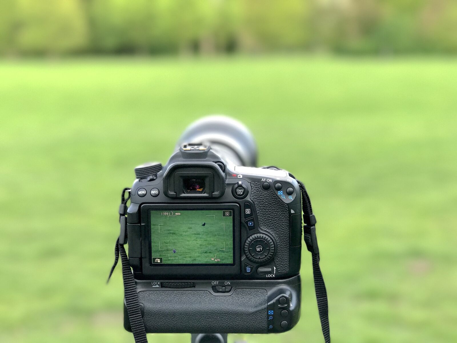 iPhone 7 Plus back dual camera 6.6mm f/2.8 sample photo. Camera, photography, canon photography