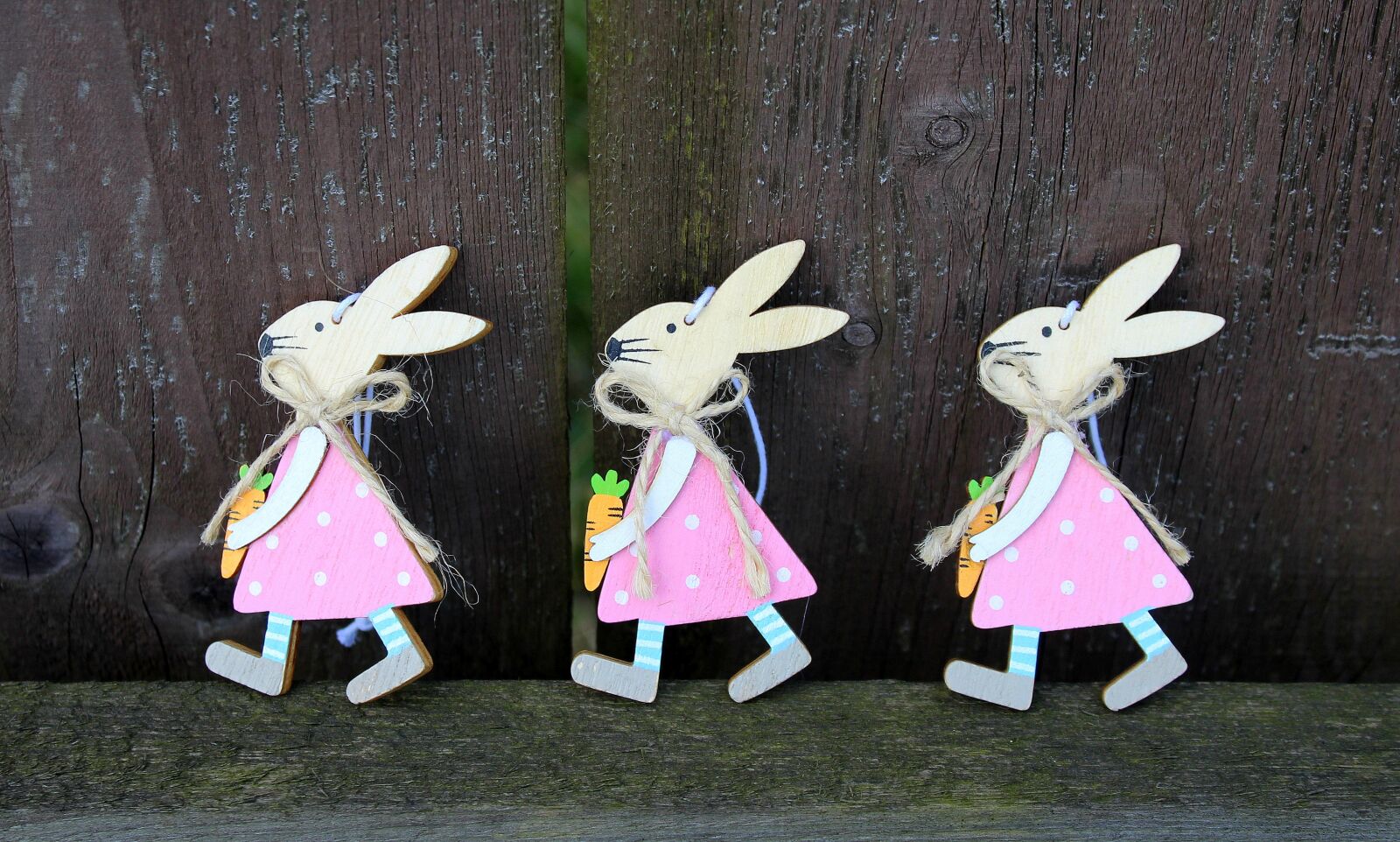 Canon EOS 1200D (EOS Rebel T5 / EOS Kiss X70 / EOS Hi) sample photo. Bunnies, three, trio photography