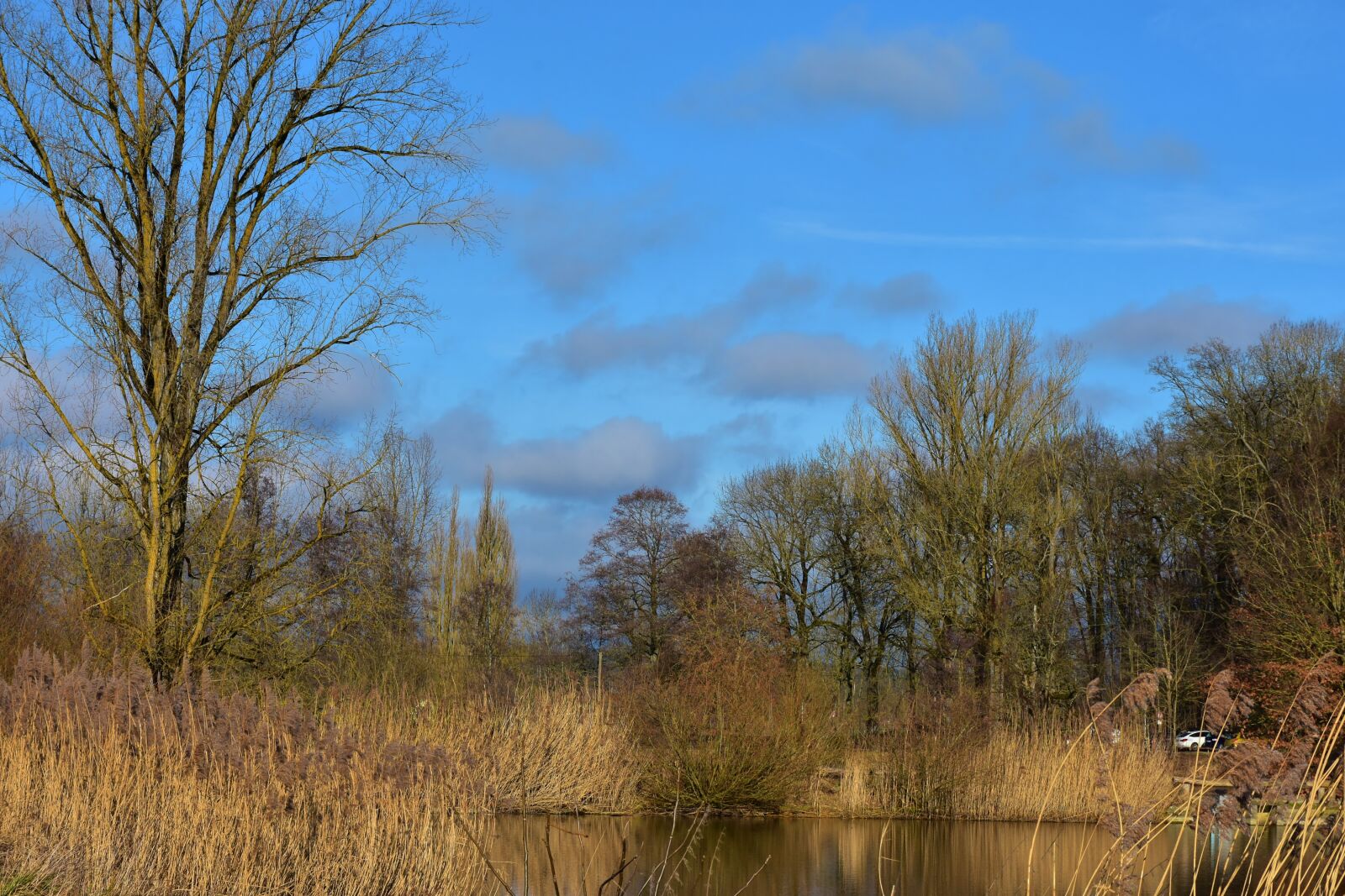 Nikon D7200 sample photo. Landscape, panorama, grass photography