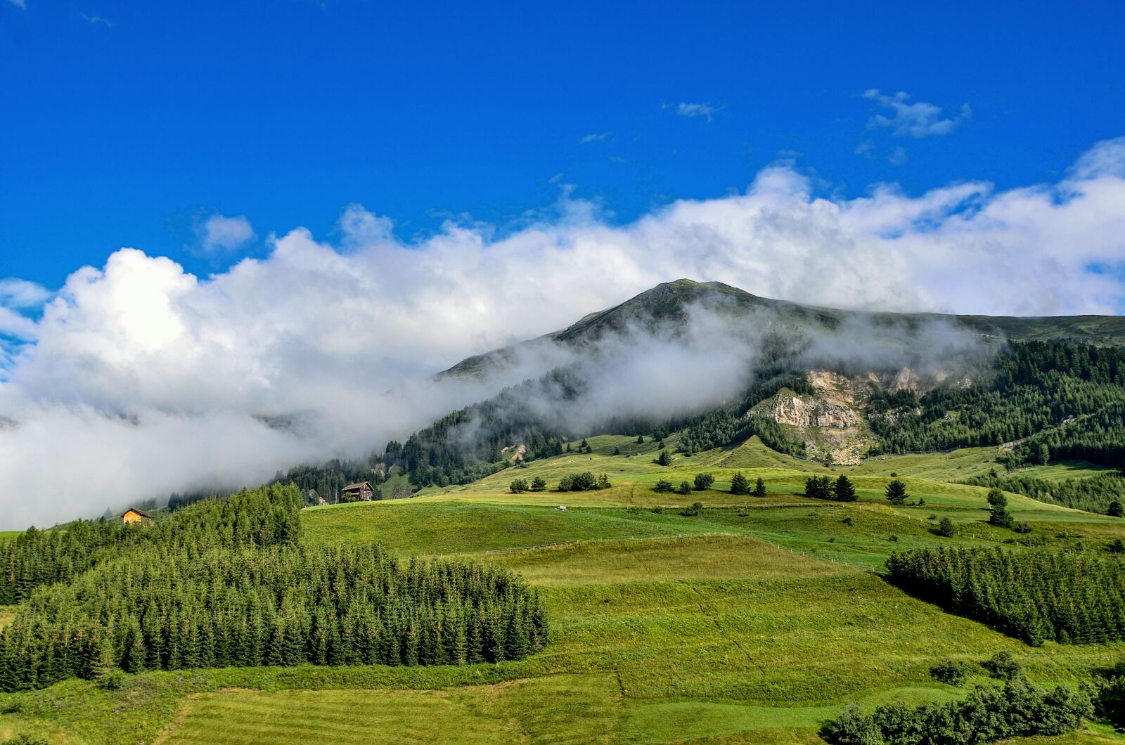 Nikon D7000 sample photo. Nature, mountain, fog photography