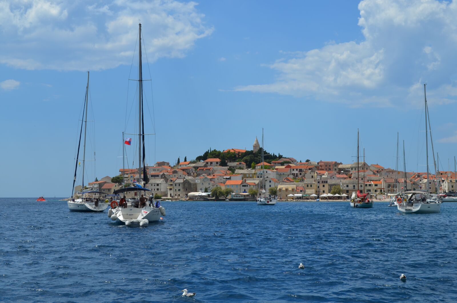 Nikon D5100 sample photo. Yachting, sea, boat photography