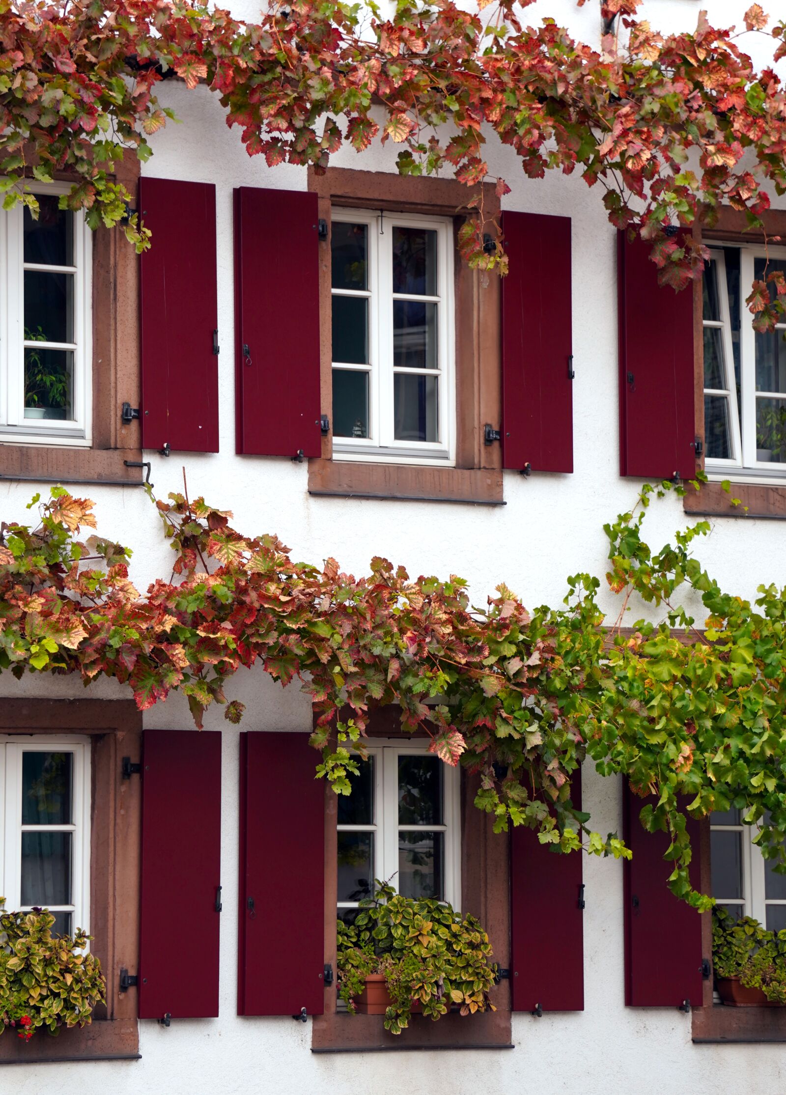 Sony E 55-210mm F4.5-6.3 OSS sample photo. Window, facade, wood photography