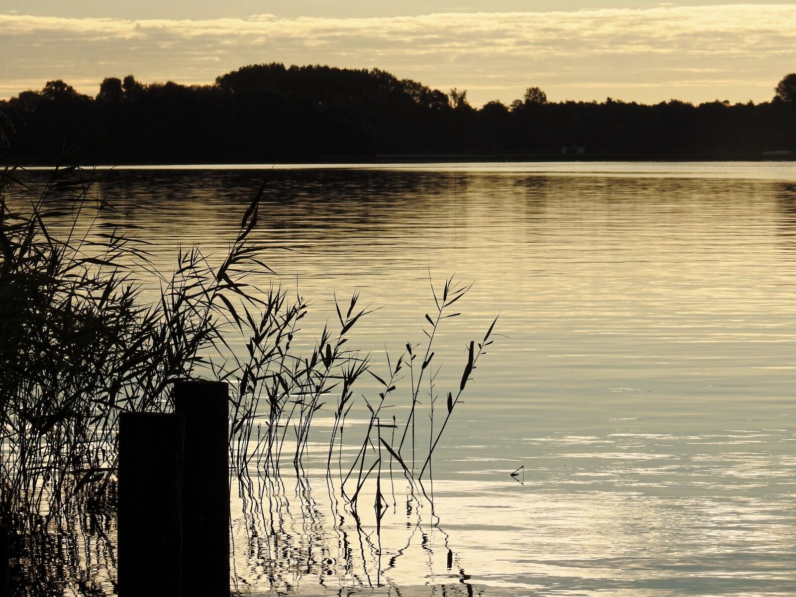 Nikon Coolpix P900 sample photo. Lake, twilight, water photography