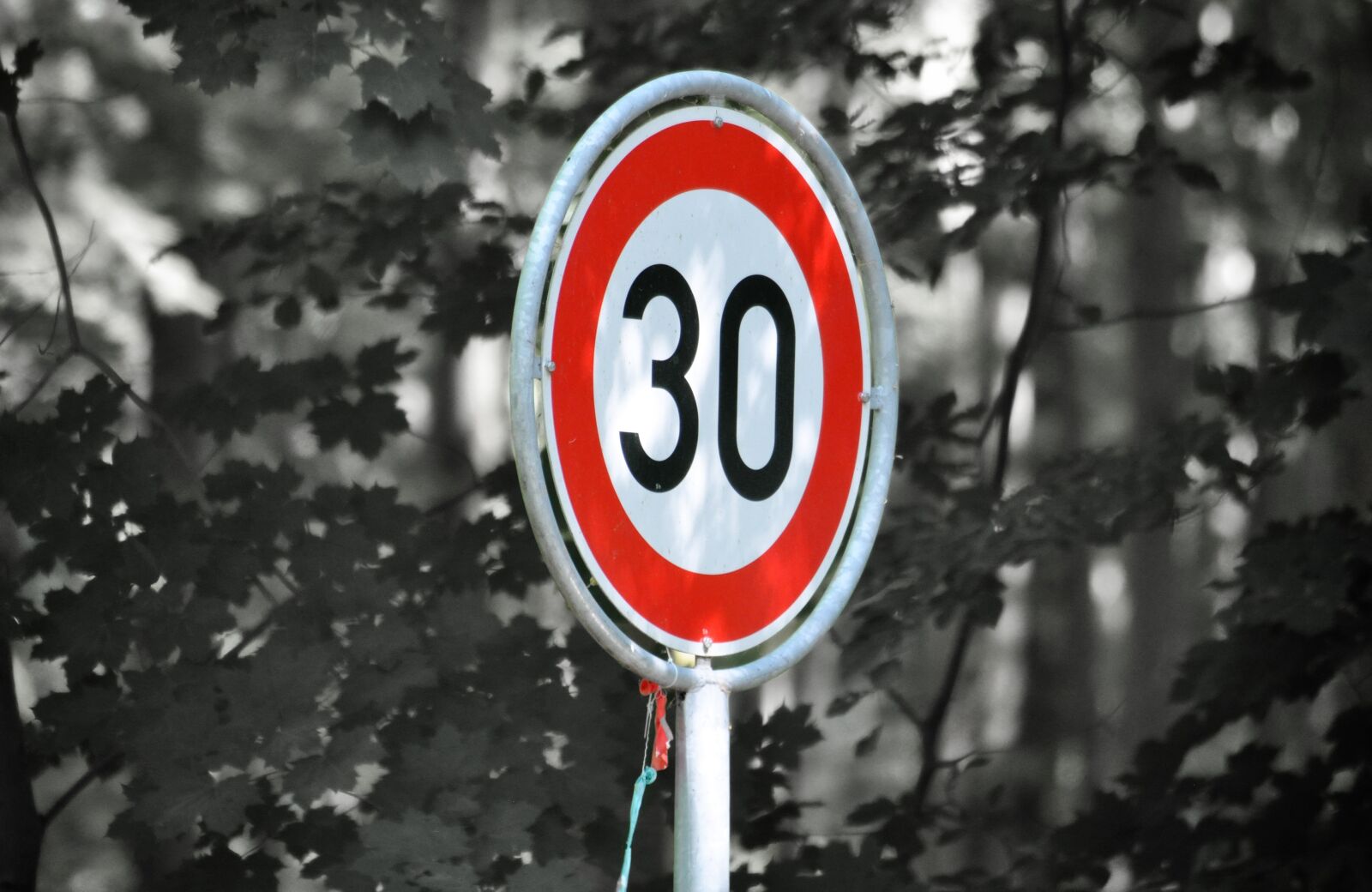 Nikon D90 sample photo. Zone 30, road sign, caution photography
