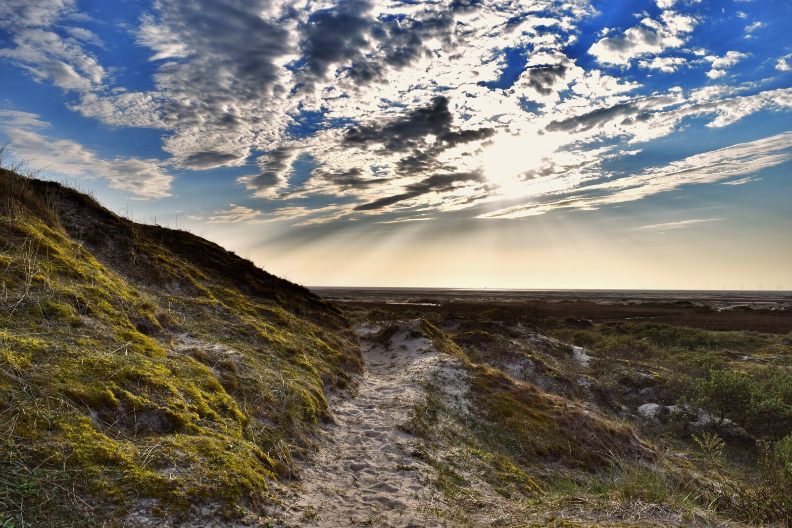 Nikon D3300 sample photo. Borkum, evening, dunes photography
