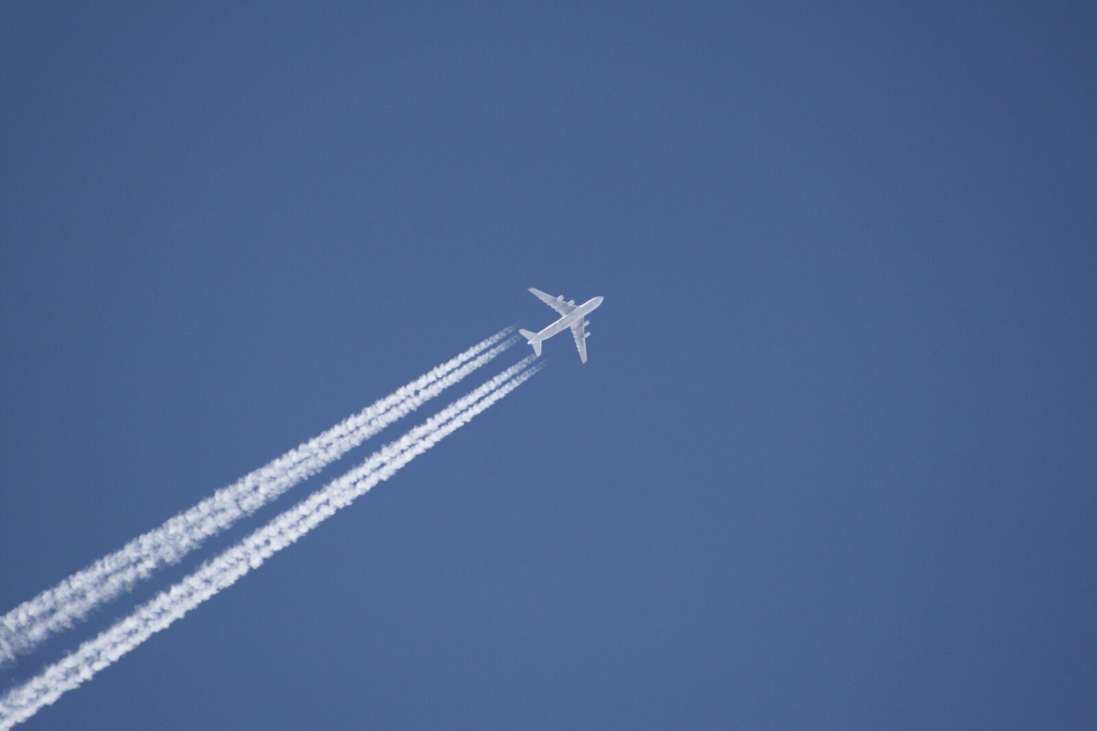 Canon EOS 1000D (EOS Digital Rebel XS / EOS Kiss F) sample photo. Aircraft, antonov, cargo aircraft photography