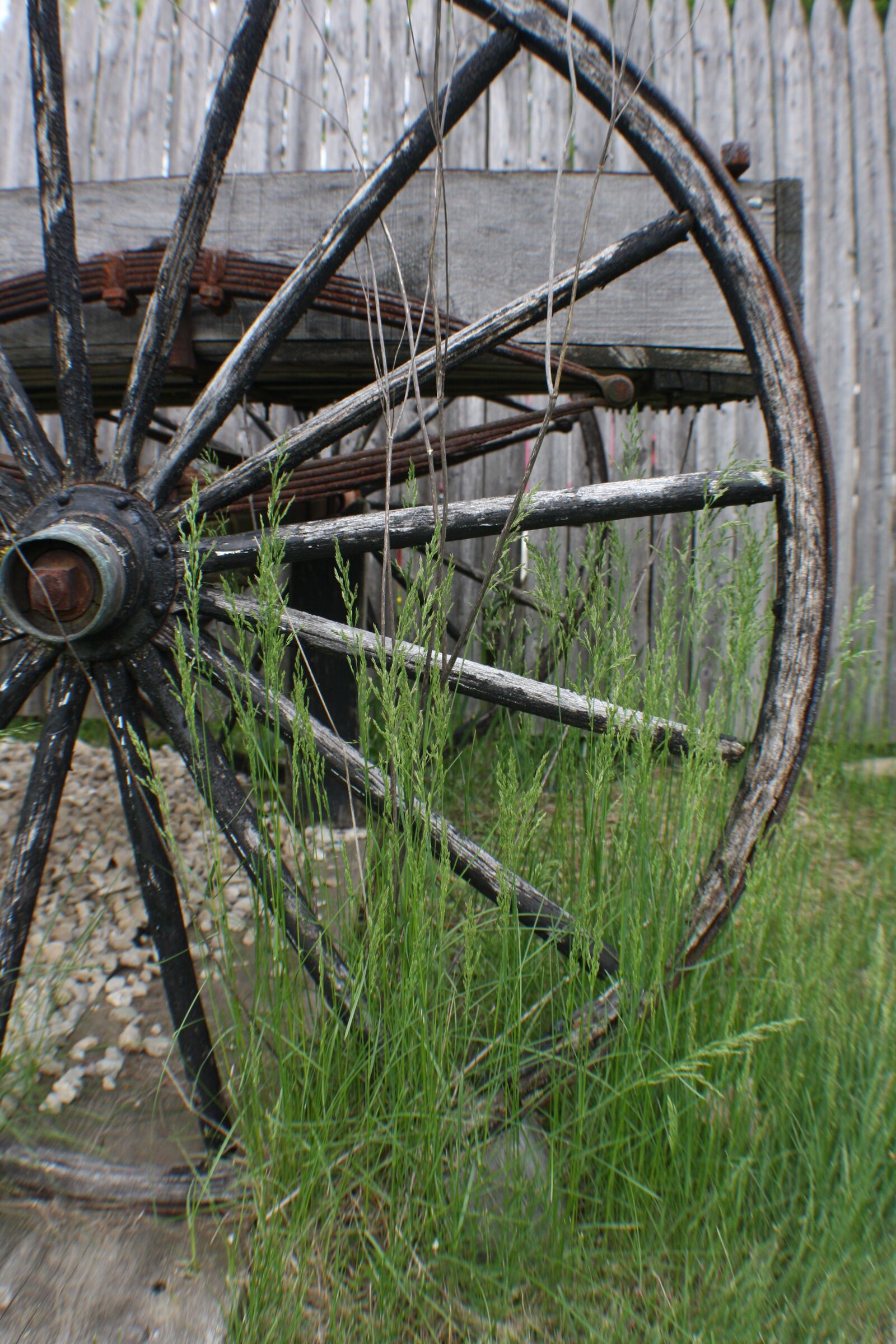 Canon EOS 40D sample photo. Wagon, wheel, cart photography