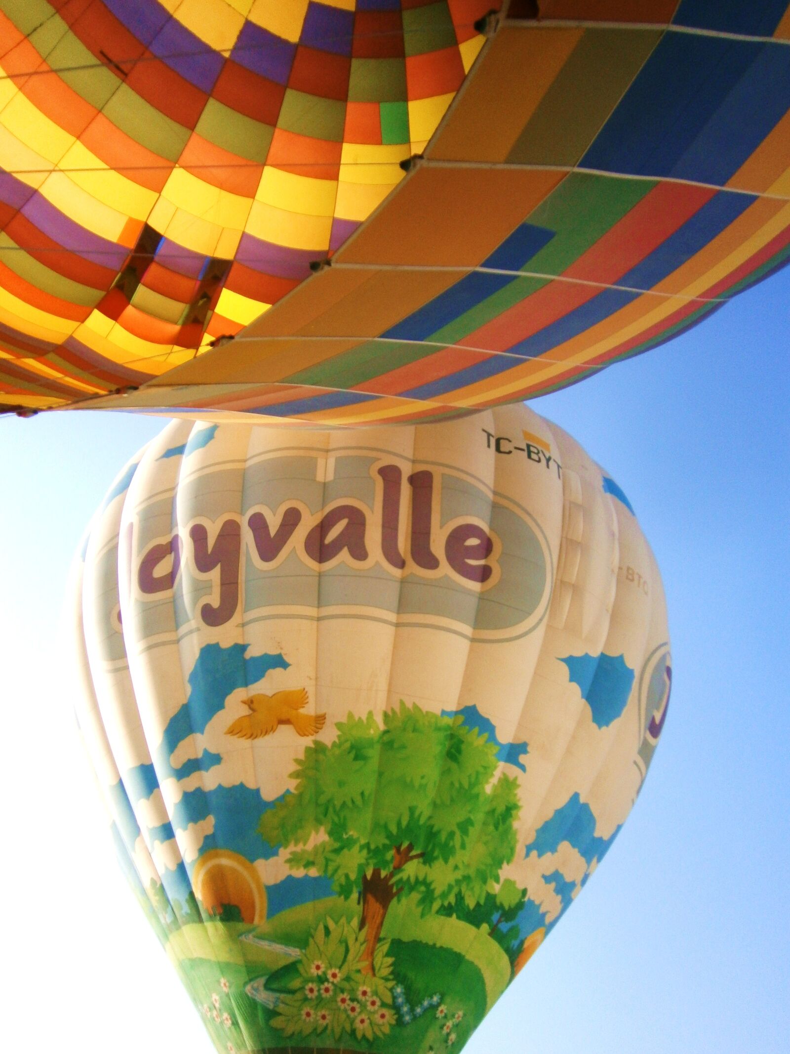 Olympus VG130,D710 sample photo. Hot air balloons, cappadocia photography