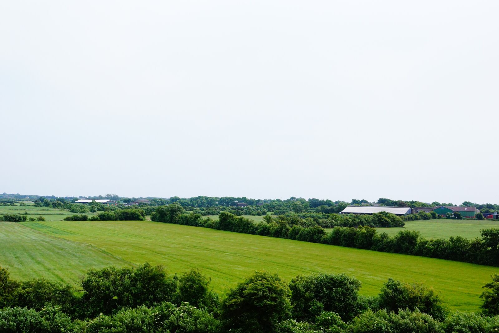 Sony SLT-A77 + Sony DT 16-50mm F2.8 SSM sample photo. Landscape, meadow, tree photography