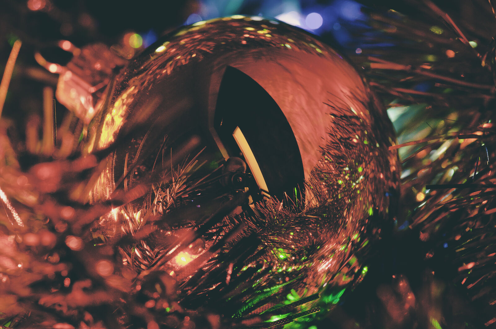 Nikon D90 sample photo. Christmas photography