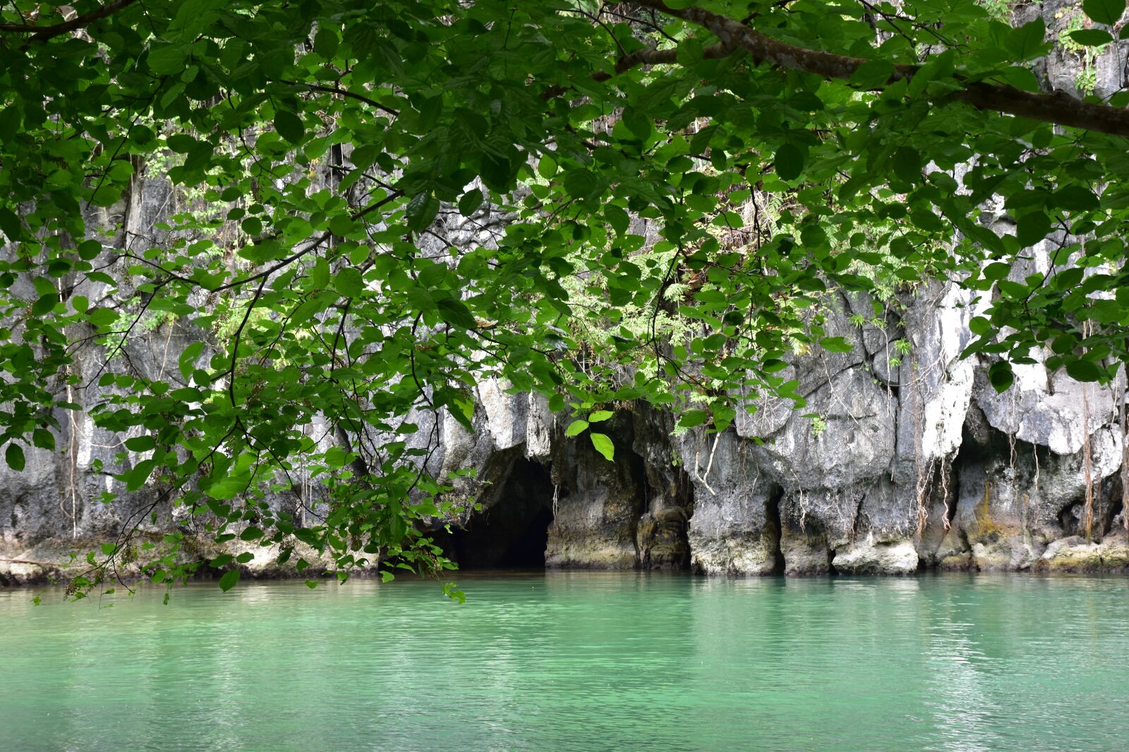 Nikon D5500 sample photo. Philippines, water, underground river photography