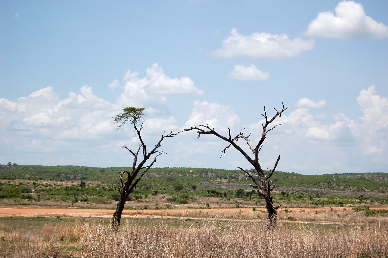 Nikon D40 sample photo. Africa, tanzania, prairie photography