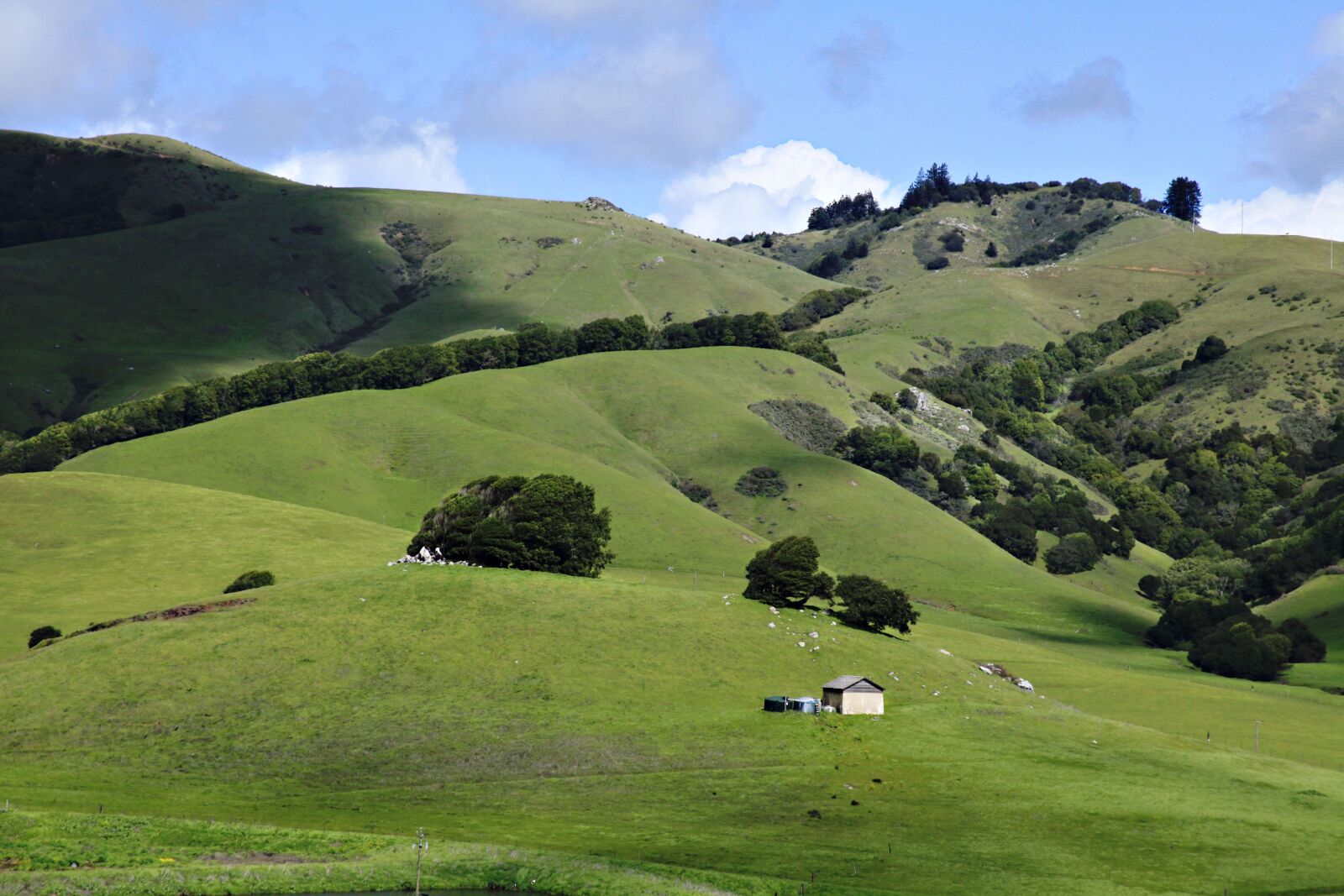 Canon EOS 5D Mark II sample photo. Landscape, nature, grass photography