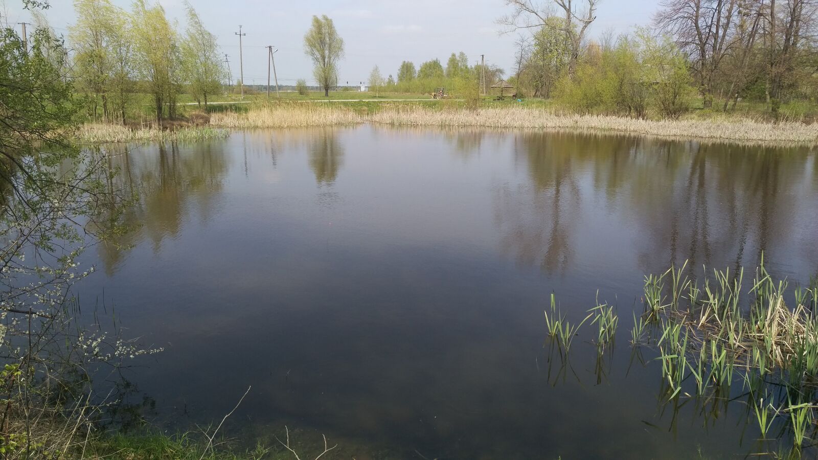 HTC ONE M9 sample photo. Staw, water photography