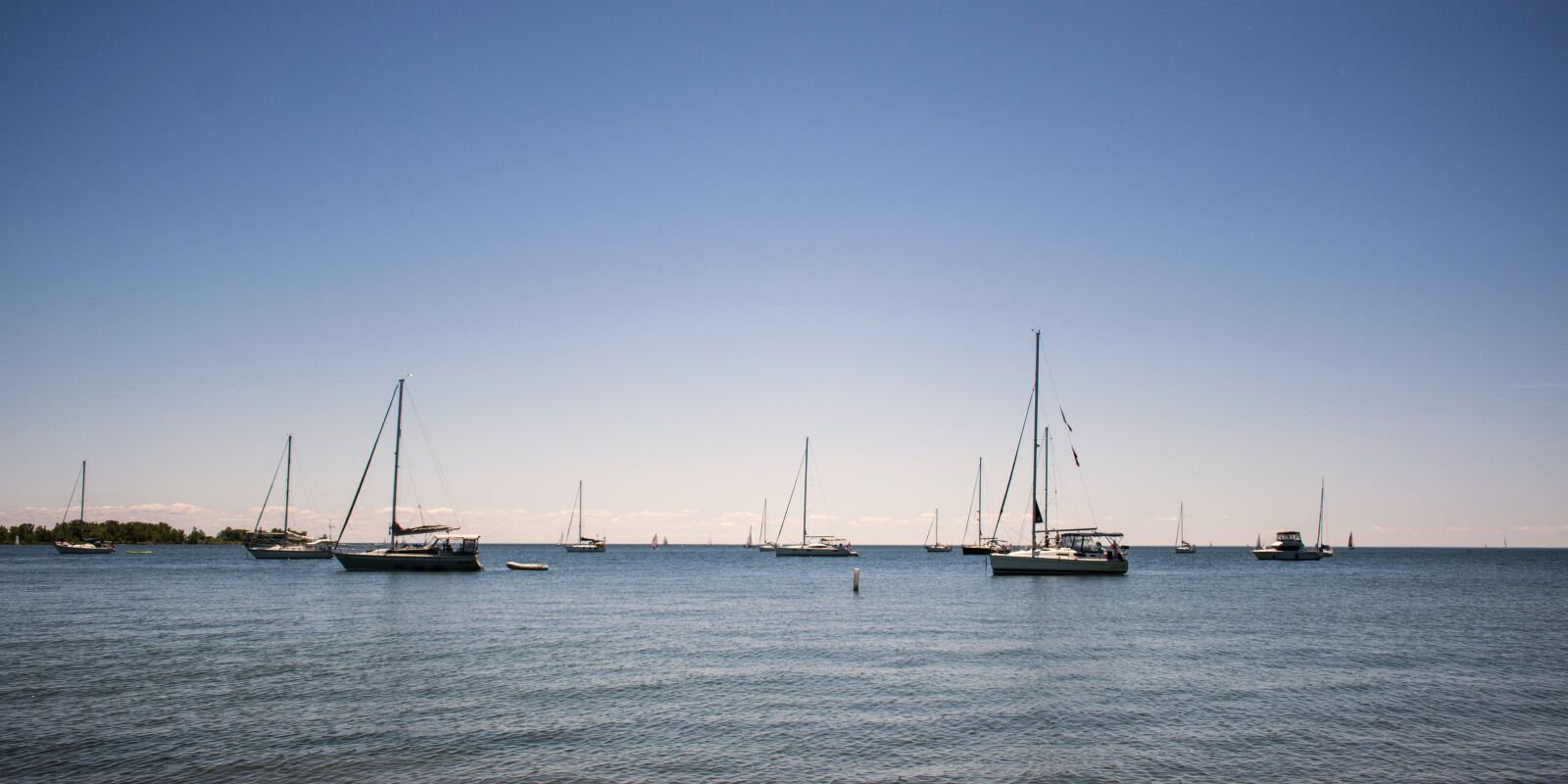 Nikon D3500 sample photo. Toronto, ontario, canada photography