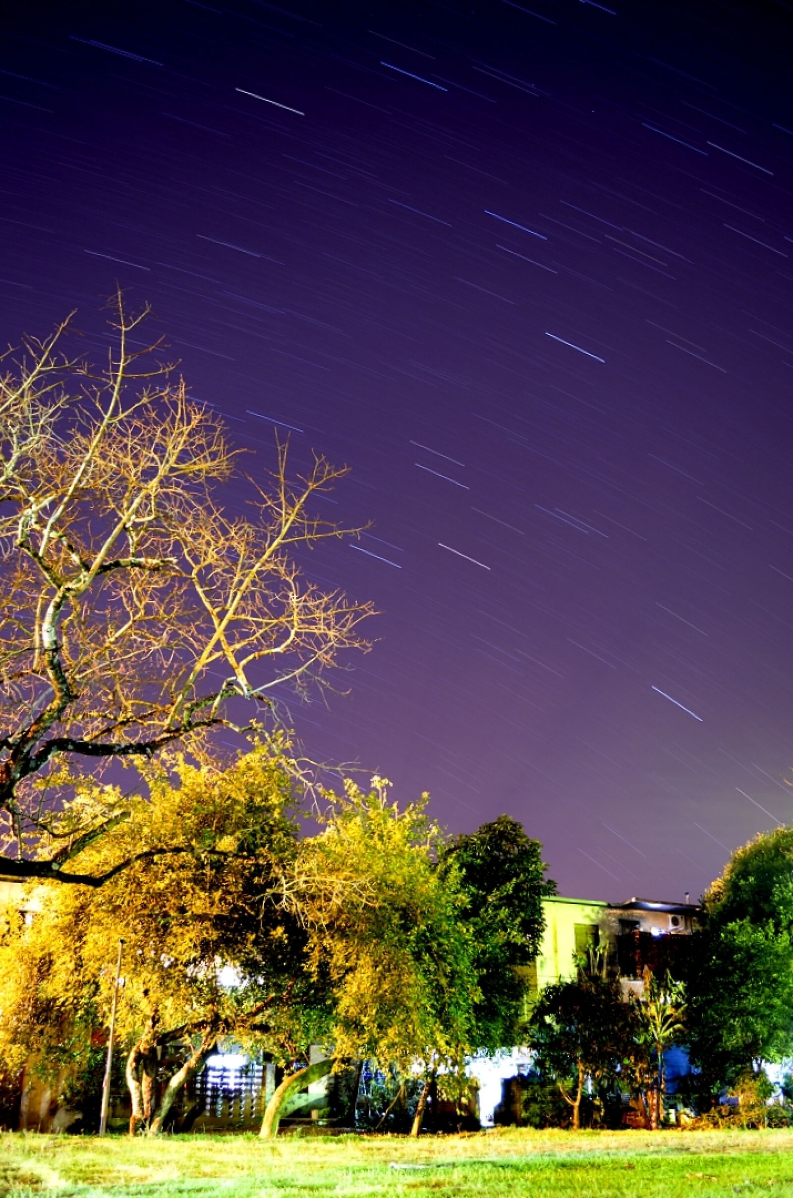 Nikon D5100 sample photo