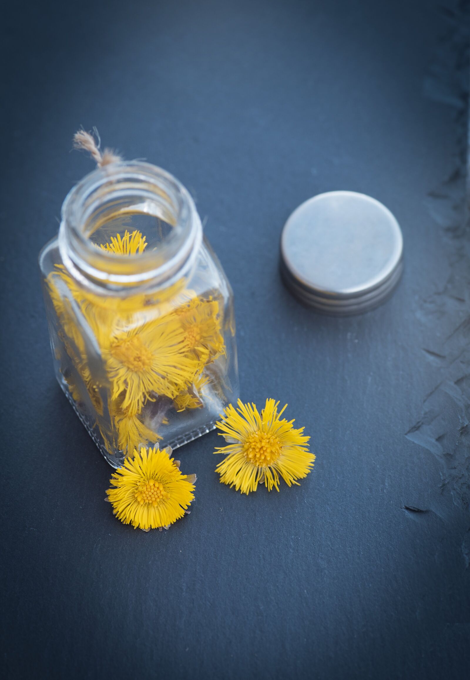 Nikon D750 sample photo. Tussilago farfara, kornbl tler photography