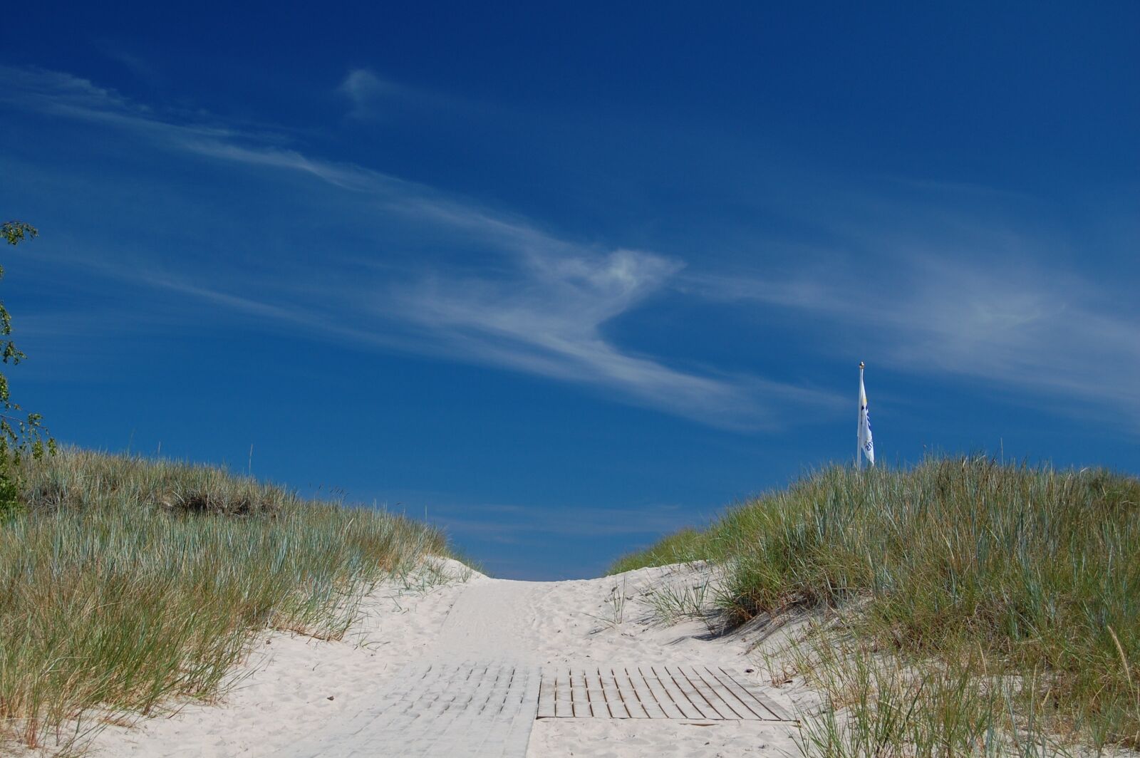 Nikon D40 sample photo. Beach, sand, oland photography