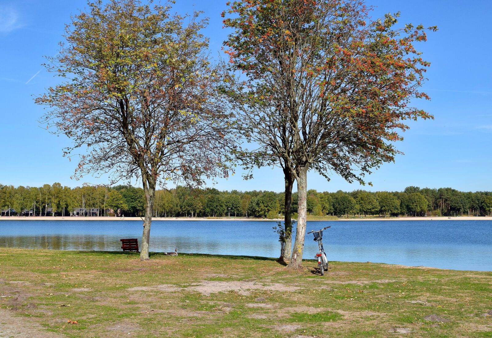 Nikon D5300 sample photo. Landscape, nature, tree photography