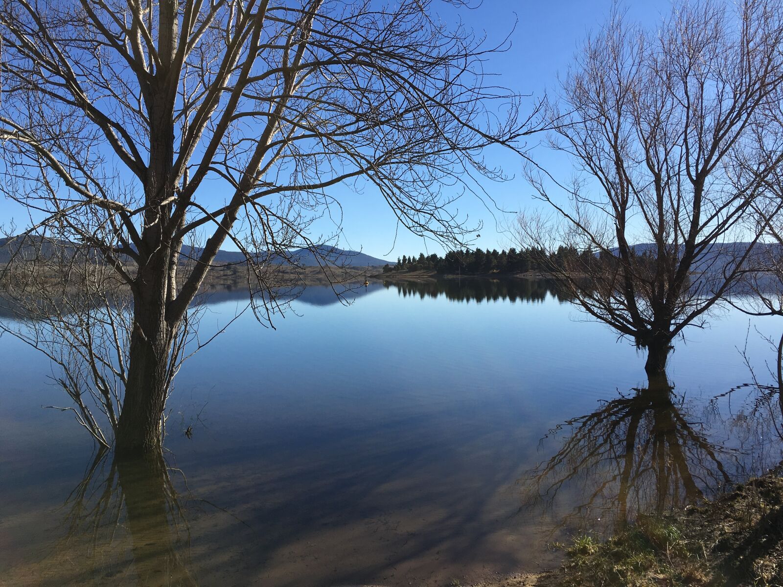 Apple iPhone 6s sample photo. Lake, water, tree photography