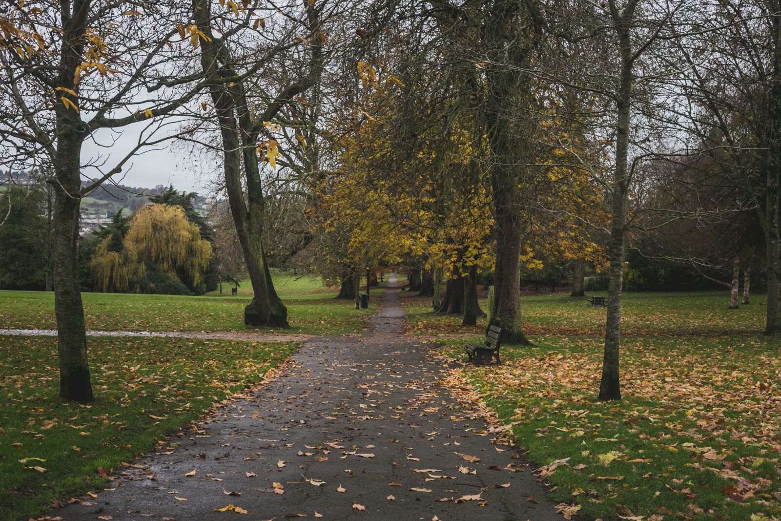 Canon EF 50mm F1.8 II sample photo. Path, walk, walkway photography