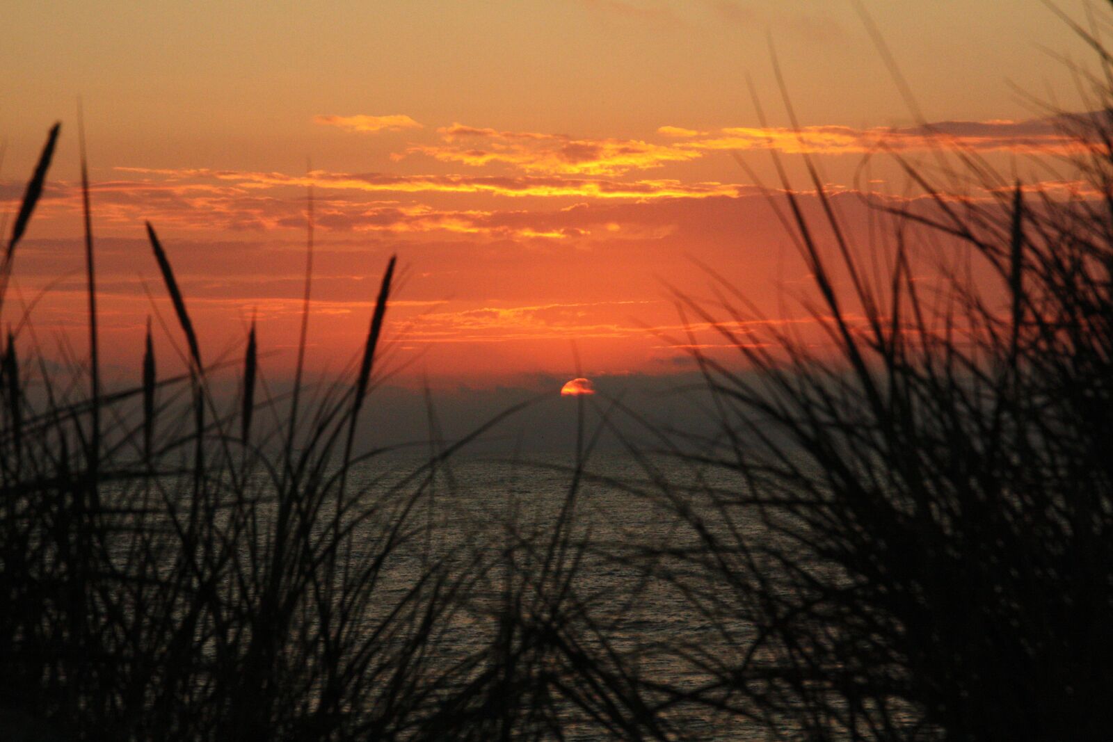 Canon EOS 450D (EOS Rebel XSi / EOS Kiss X2) sample photo. Sunset, texel, netherlands photography