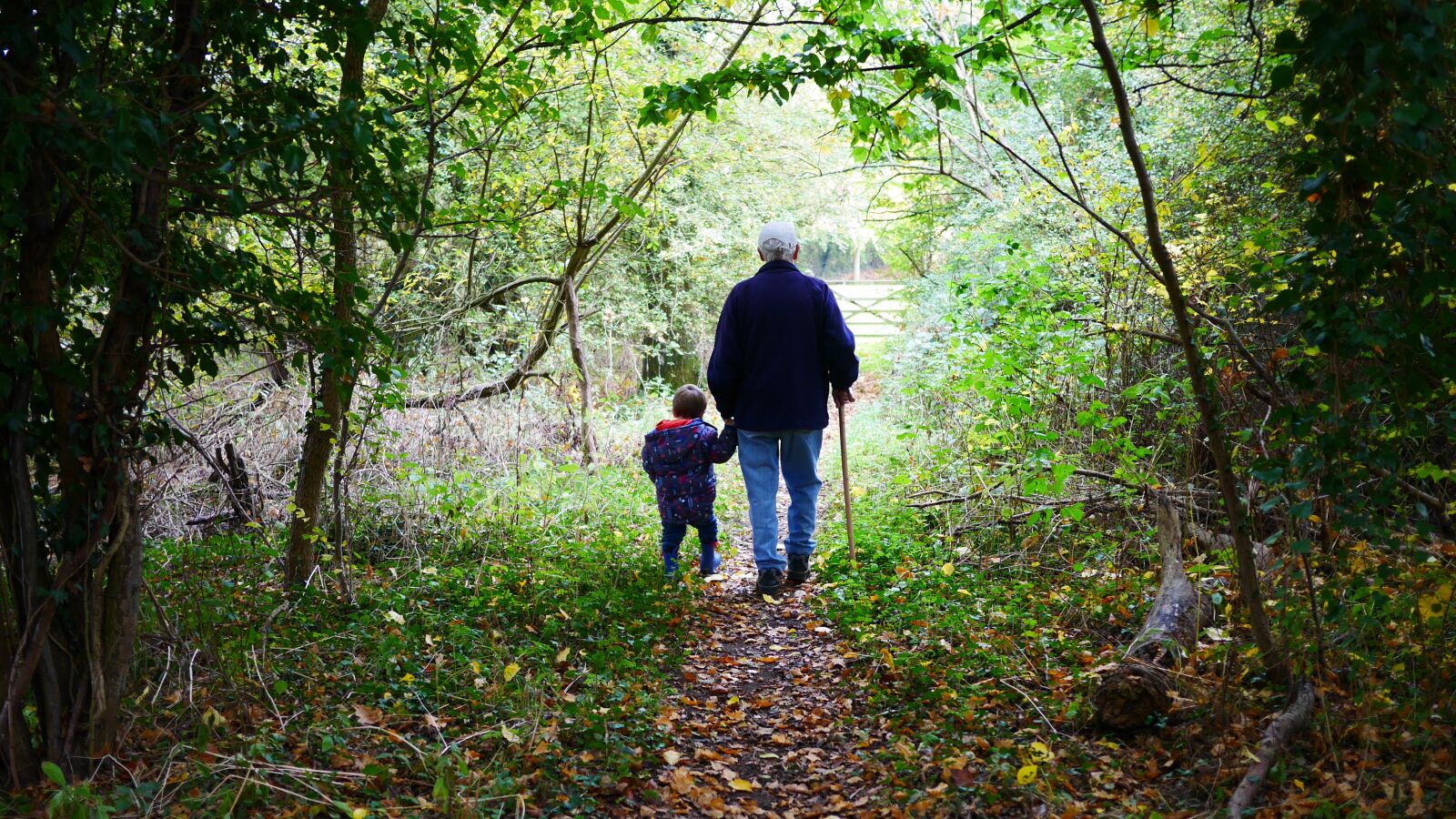 Panasonic Lumix DMC-GX7 sample photo. Grandparents, walk, old photography
