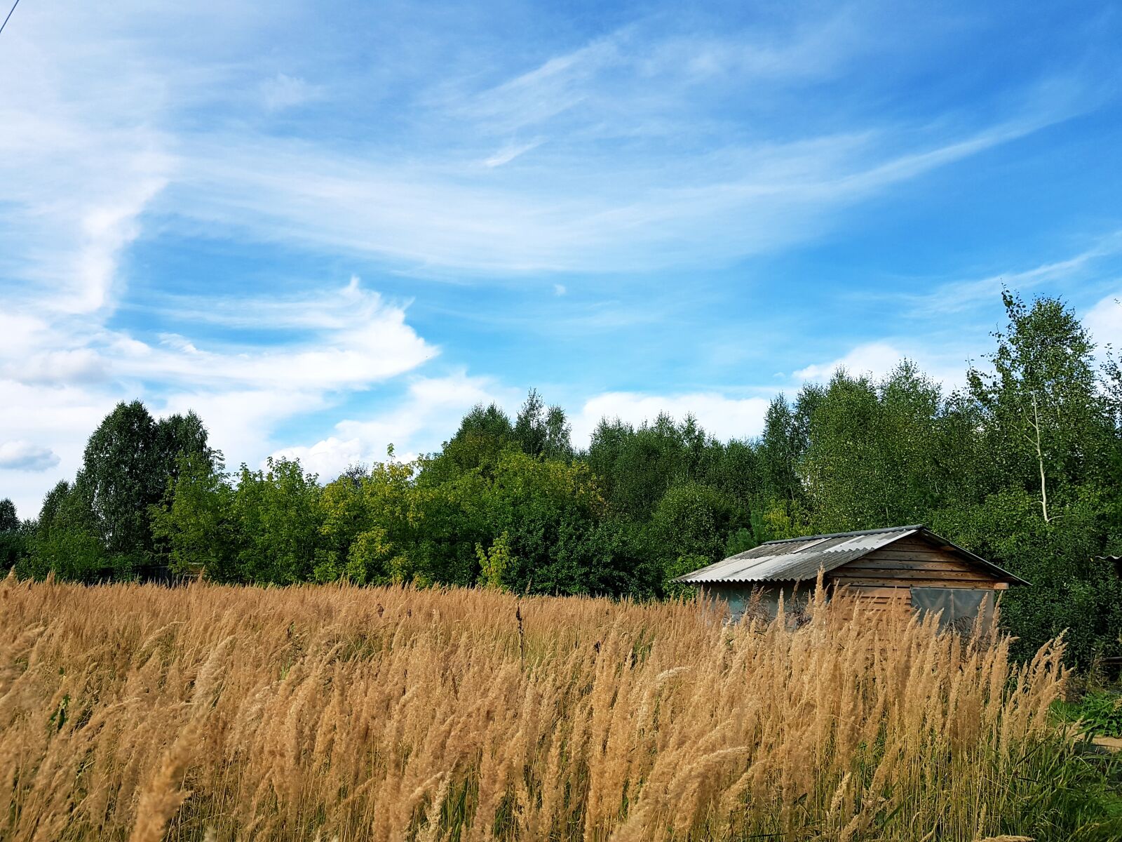 Samsung SM-G930F sample photo. Nature landscape, sky, water photography