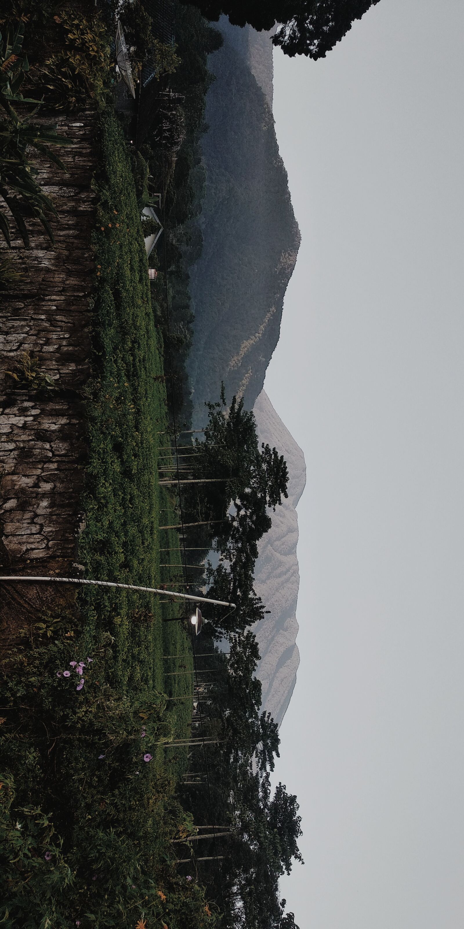 Xiaomi Redmi 5 Plus sample photo. Mountain, tea gardens, pemandangam photography
