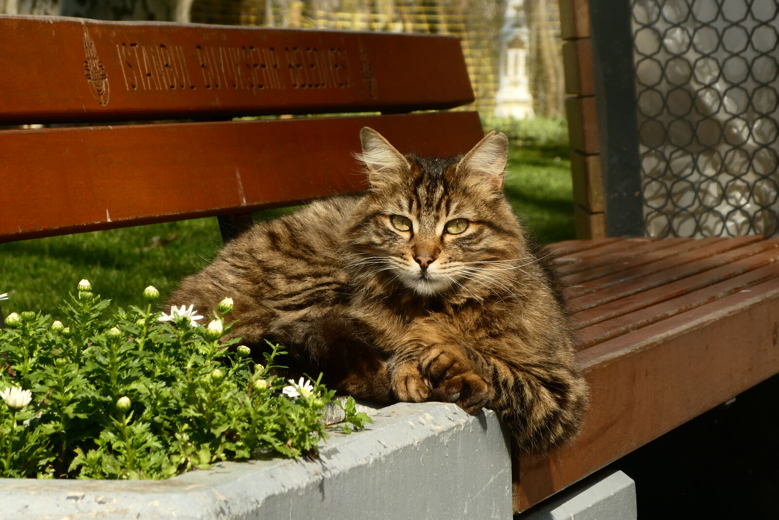 Panasonic Lumix DC-ZS70 (Lumix DC-TZ90) sample photo