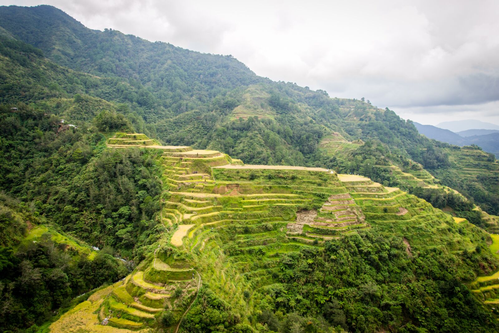Nikon D3100 sample photo. Philippines, rice terraces, banaue photography