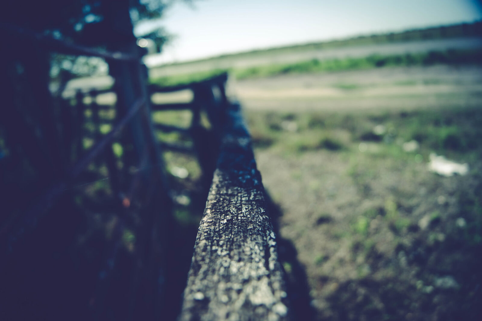Sony Alpha DSLR-A390 sample photo. Blur, dawn, environment, fence photography