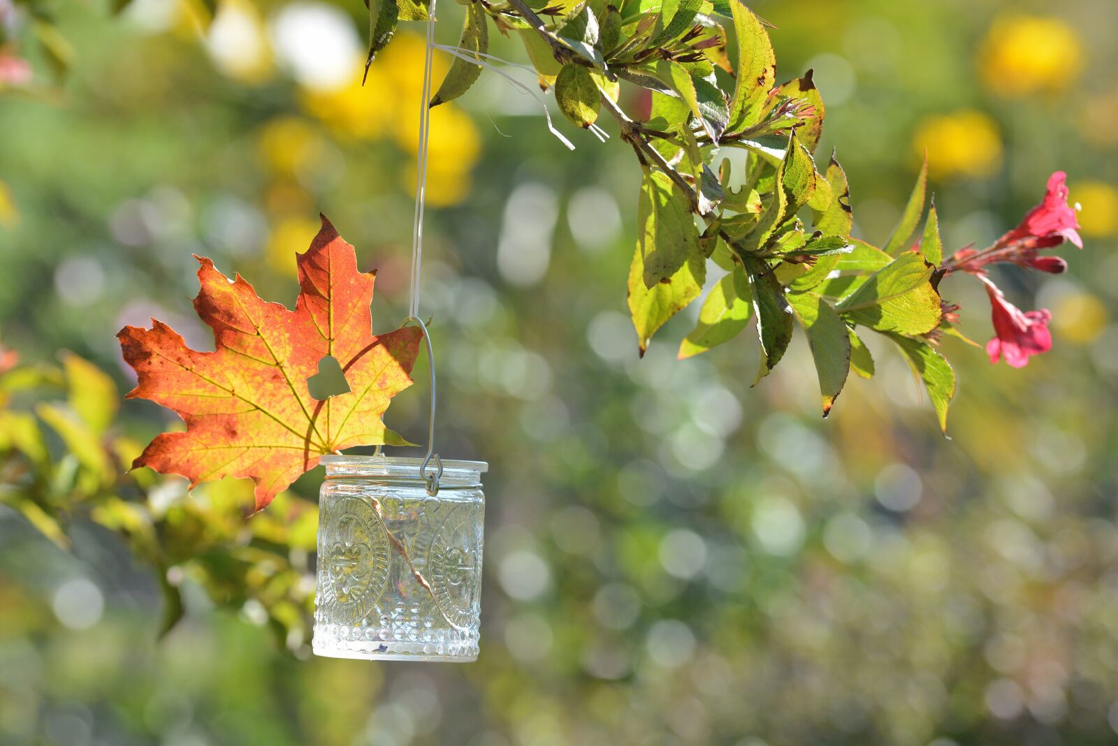 Nikon D7100 sample photo. Autumn, leaf, bokeh photography