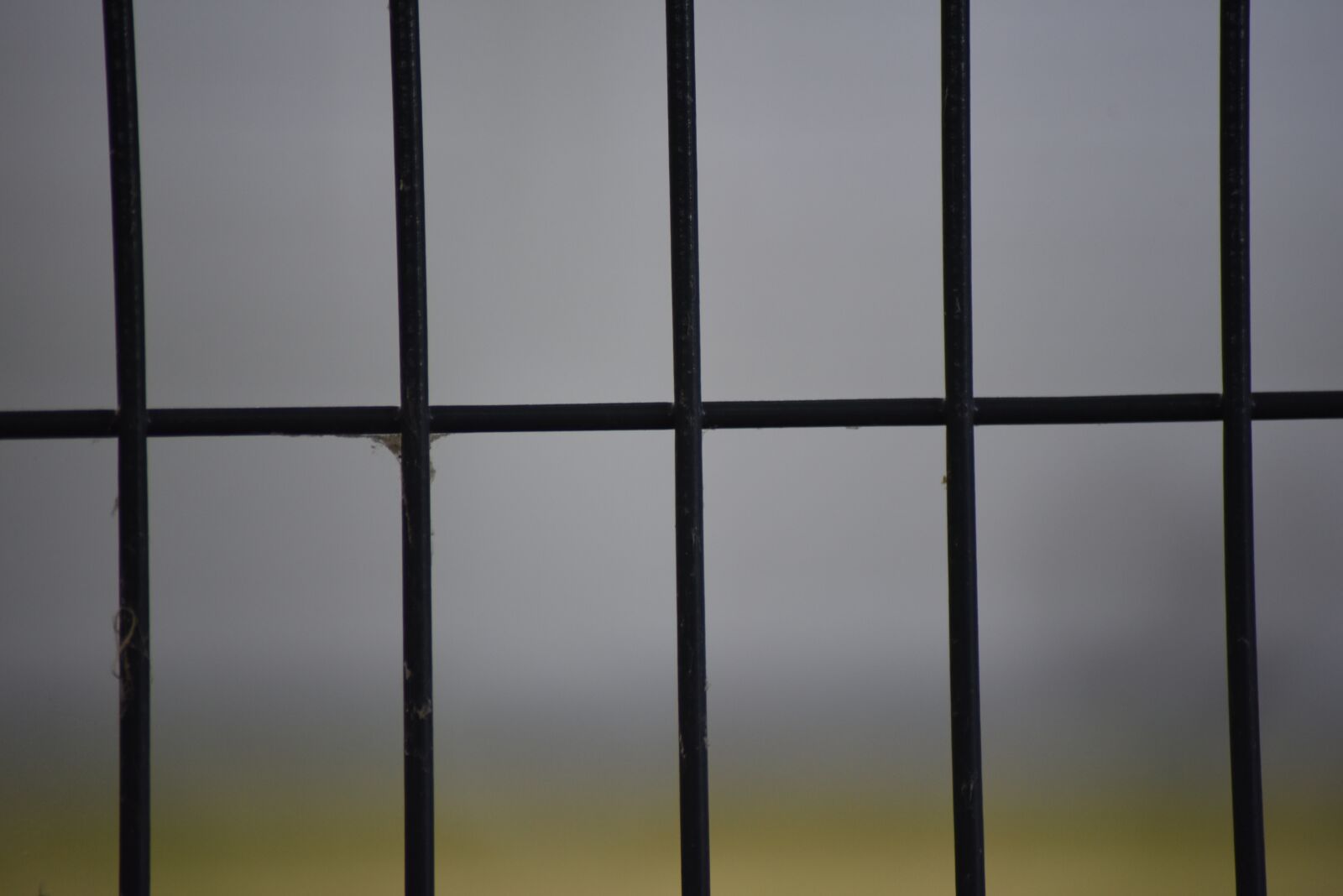 Nikon D750 sample photo. Bokeh, bar, blur photography